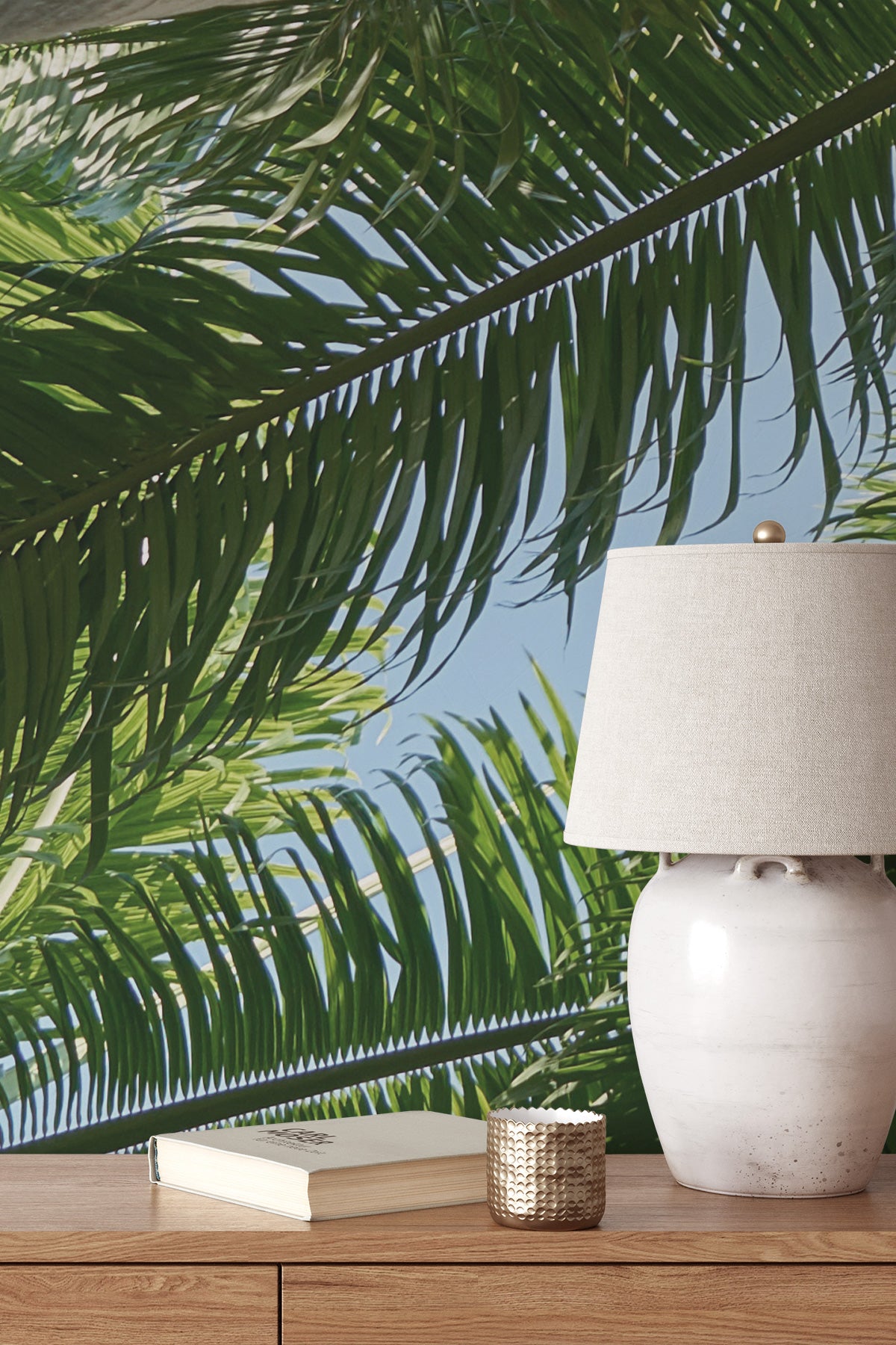 Tropical Canopy
