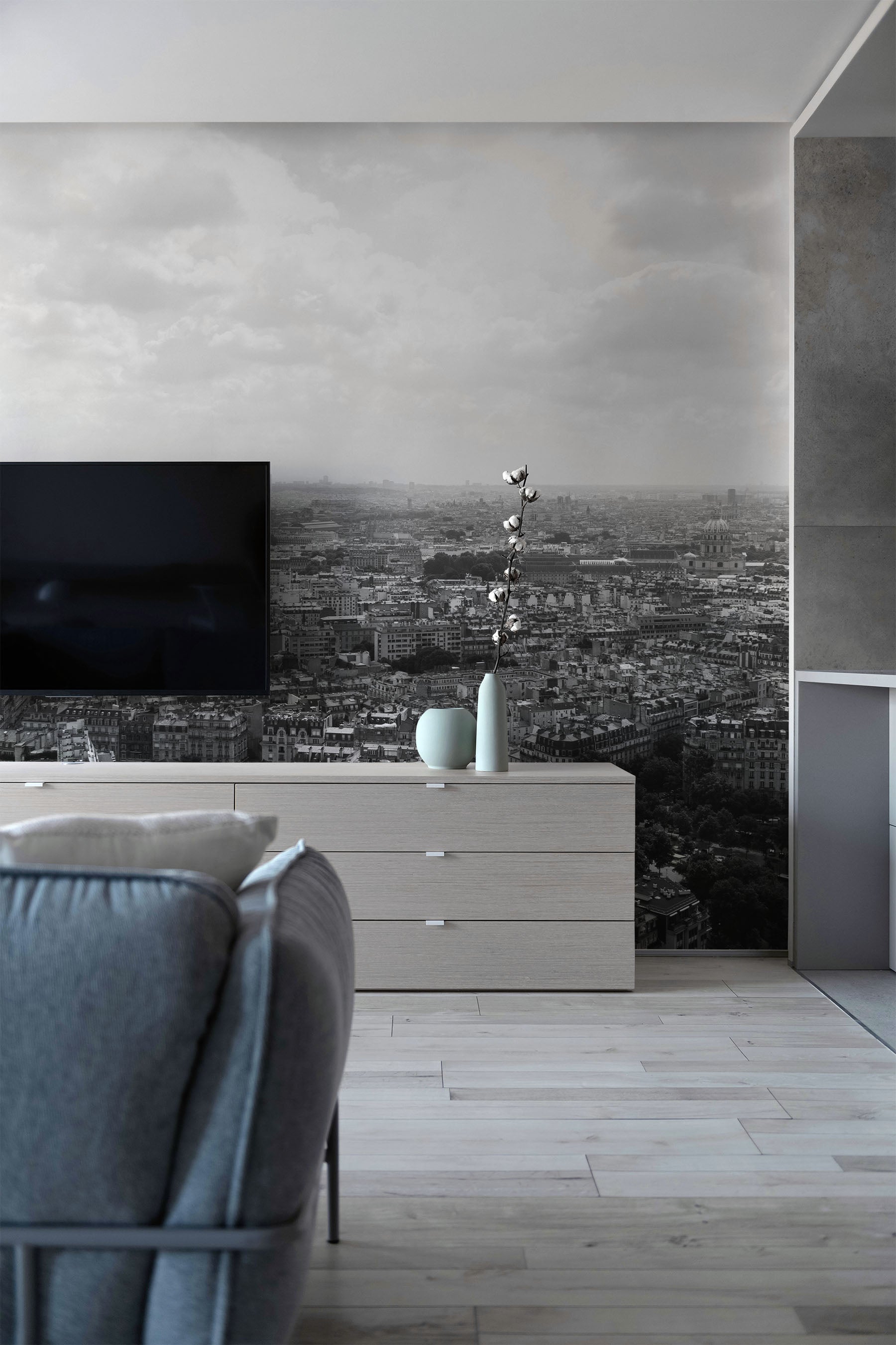 Black and White View of Paris