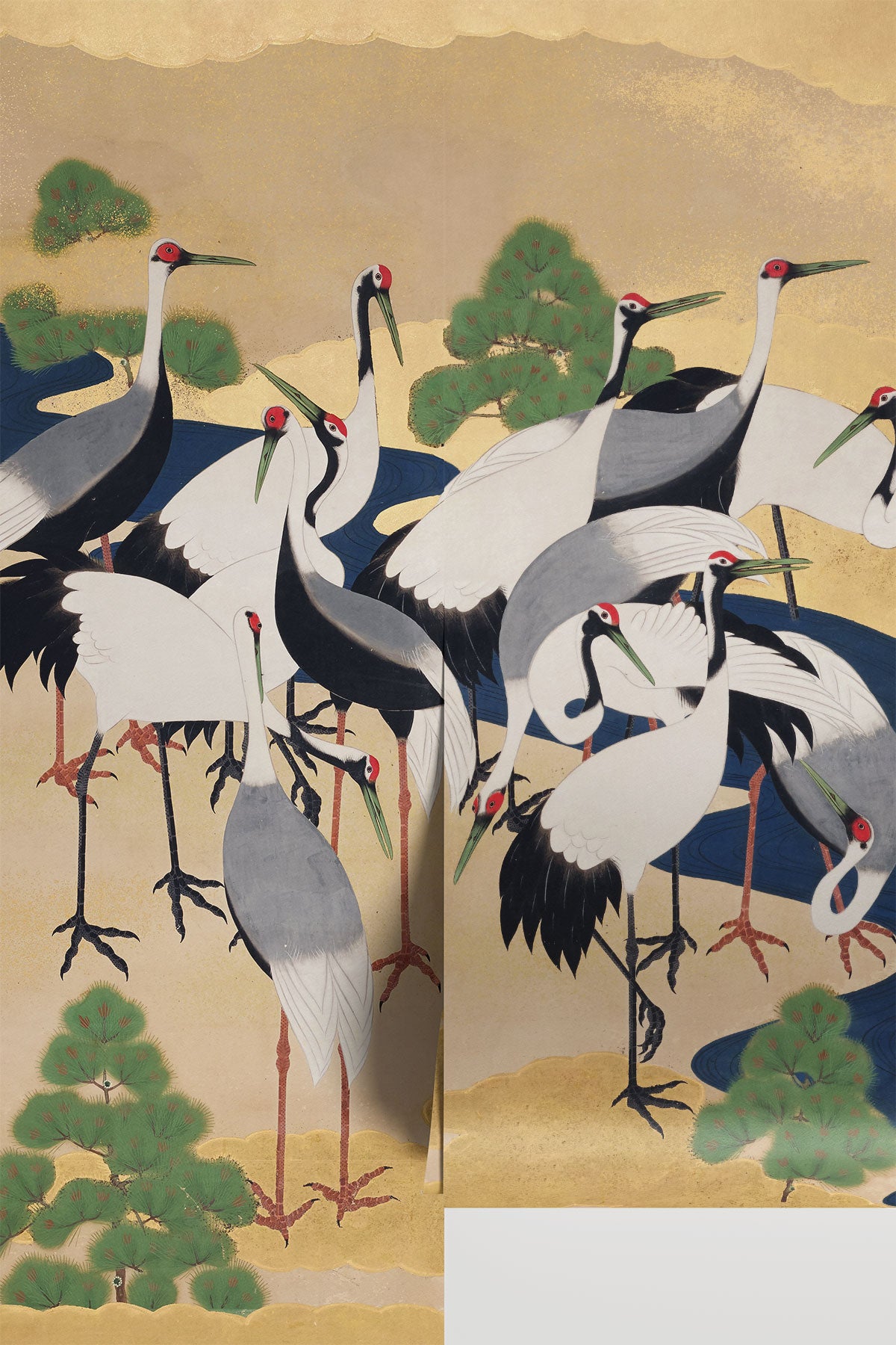 Graceful Flight of Japanese Cranes