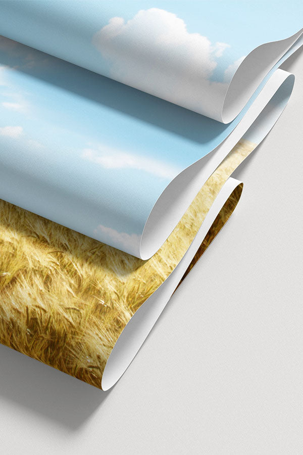 Field of Barley Wall Mural