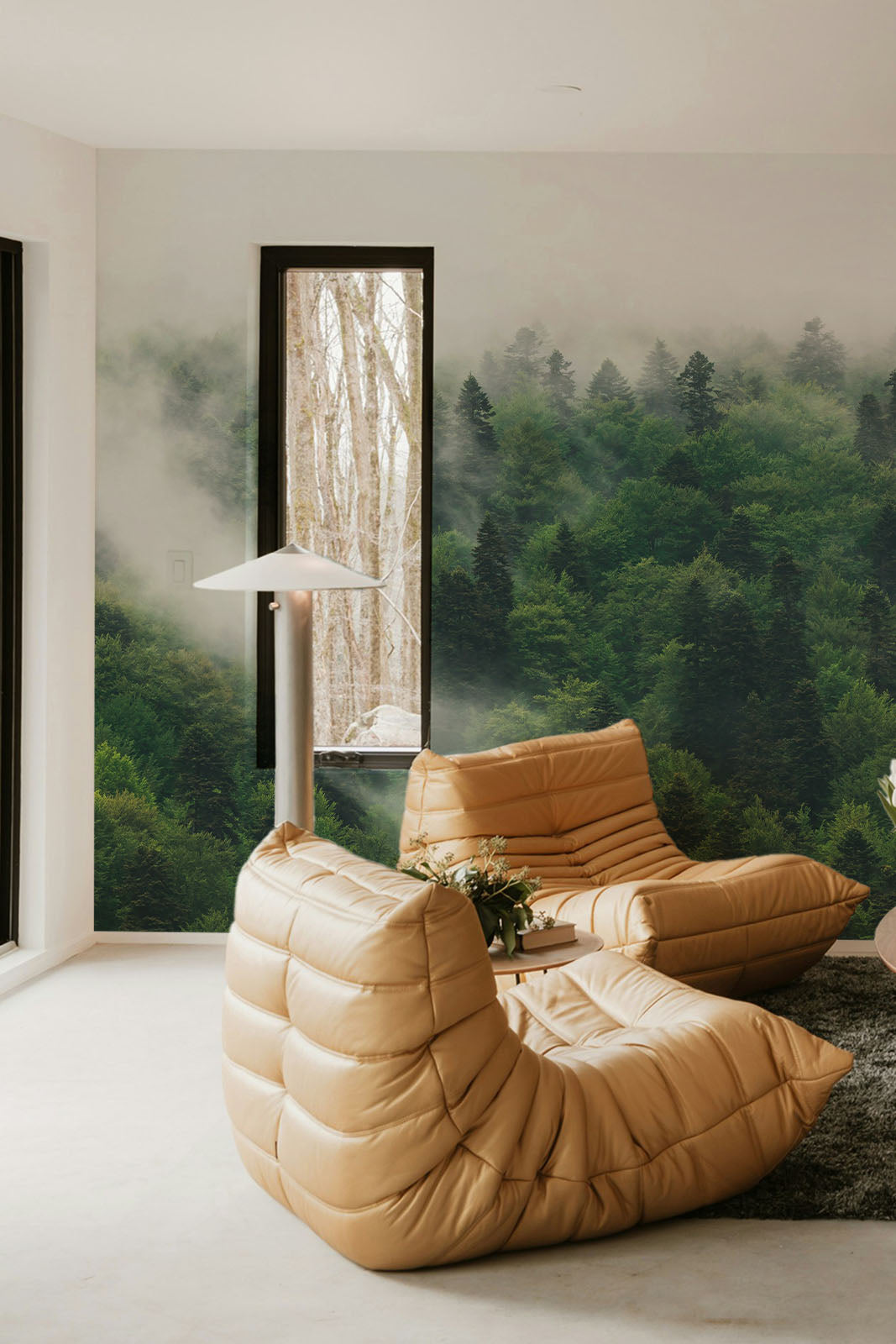 The Misty Wilderness Forest