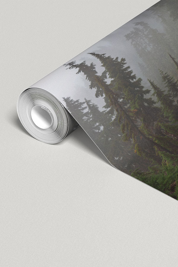 Mount Ellinor Forest