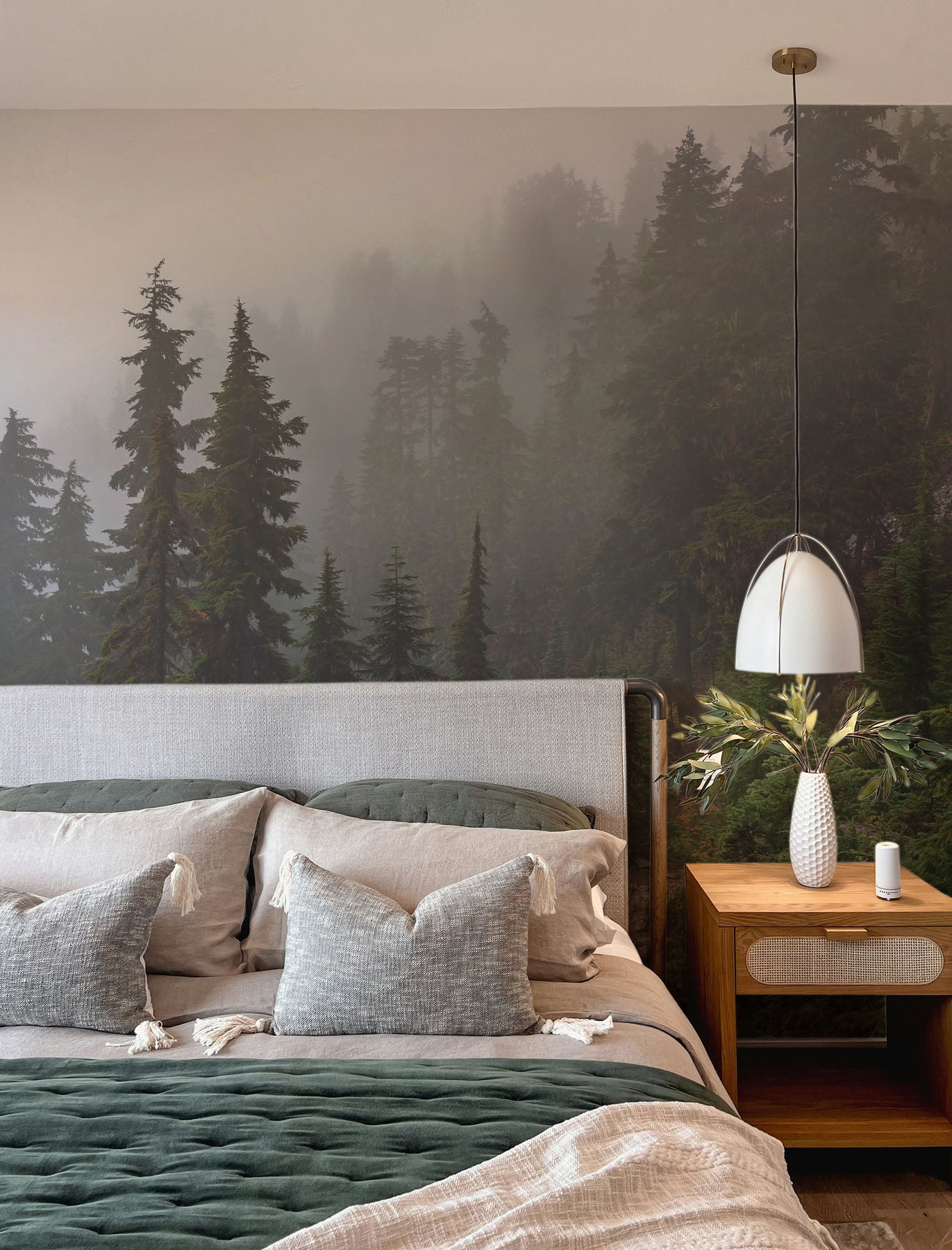 Mount Ellinor Forest