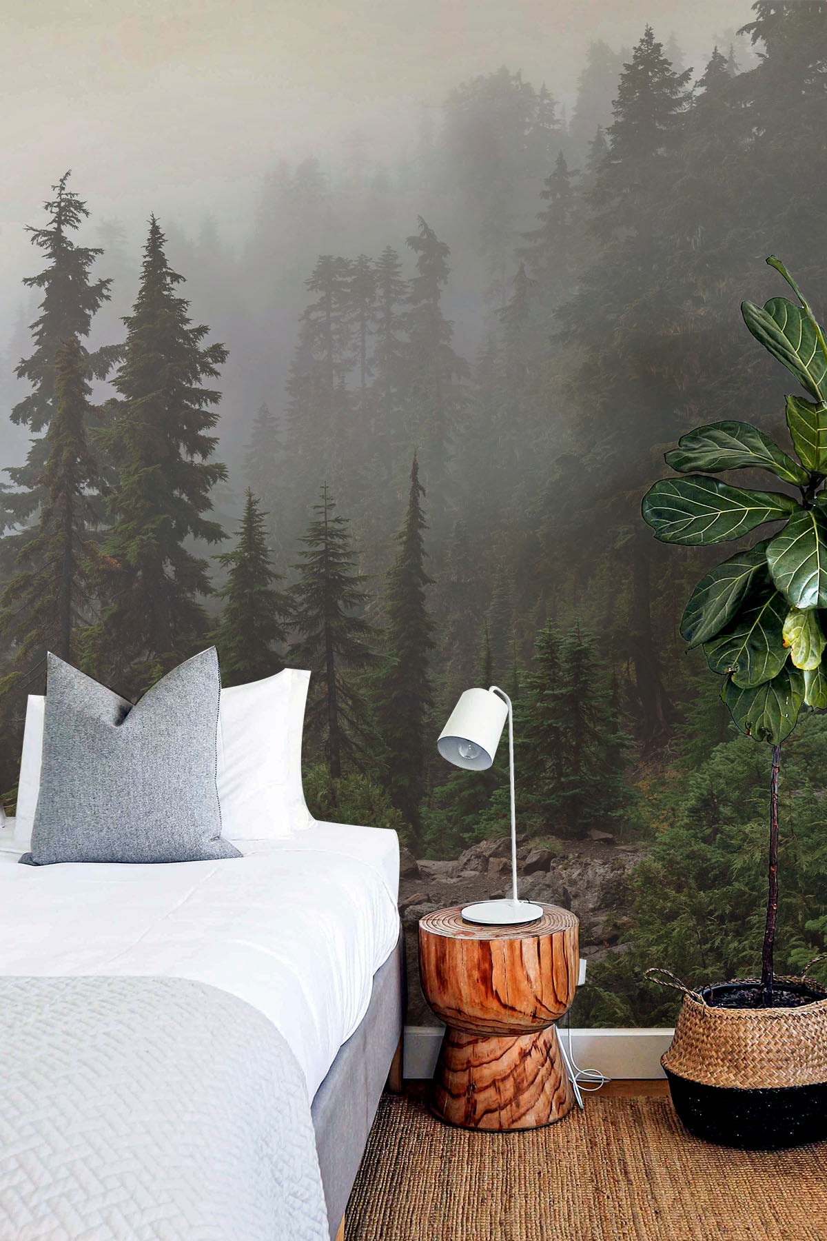 Mount Ellinor Forest