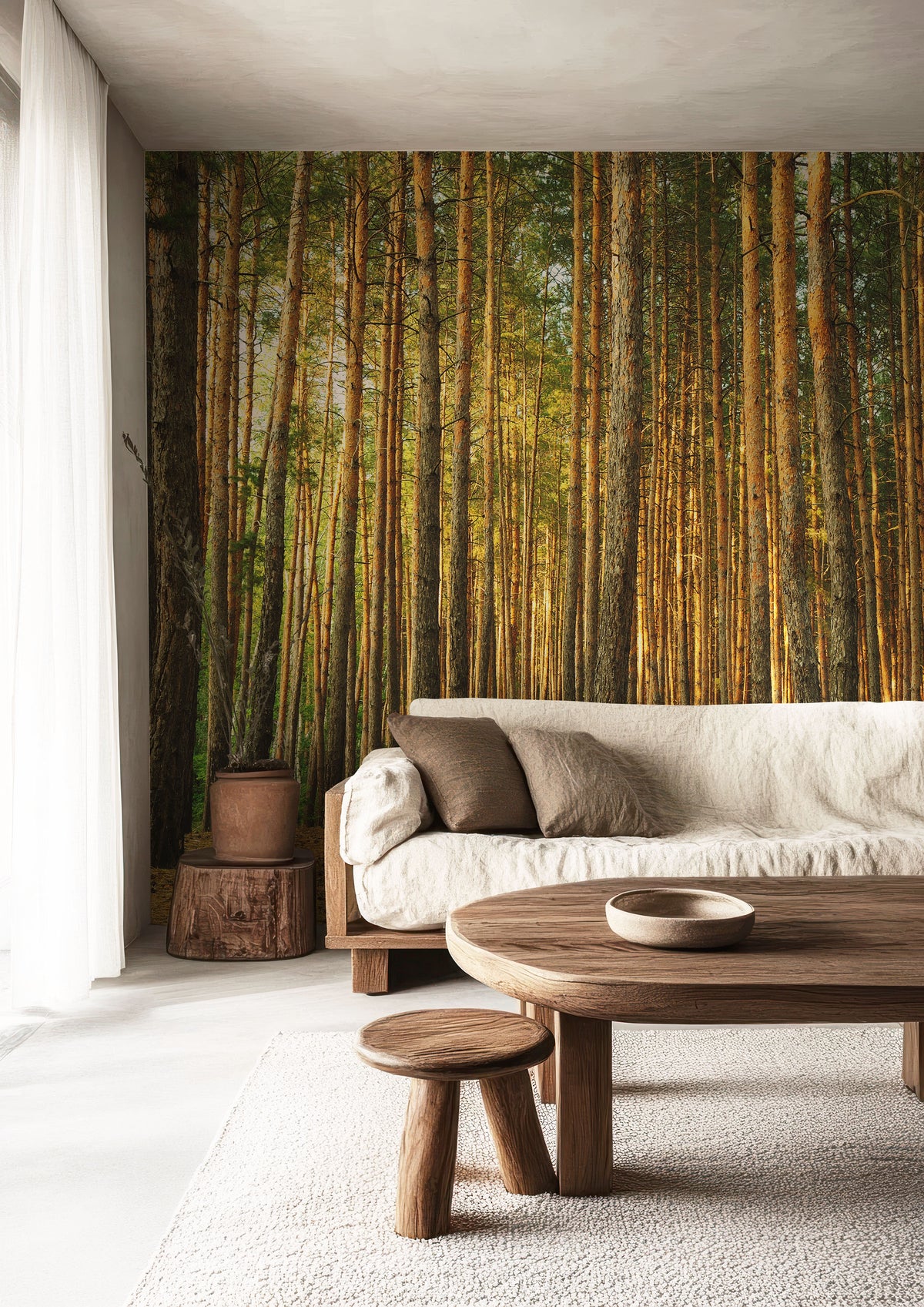 Pine tree forest Wall Mural - Tall Tree Nature Wallpaper | Eazywallz