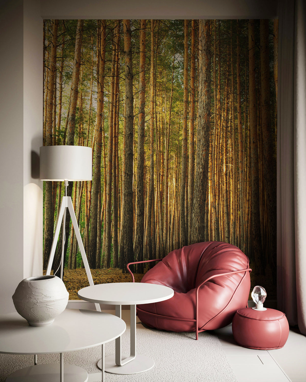 Pine tree forest Wall Mural - Tall Tree Nature Wallpaper | Eazywallz