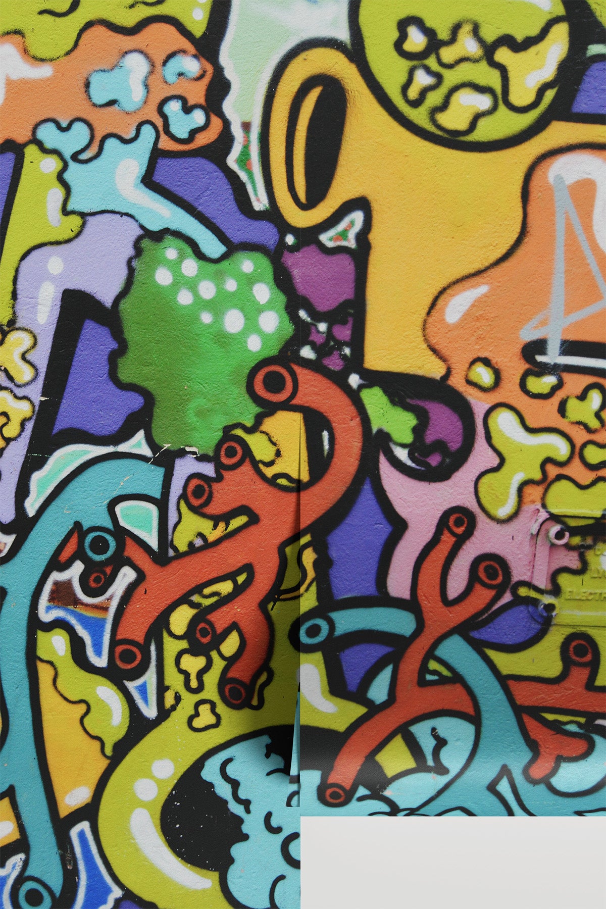 Coral Reef Street Art Wall Mural