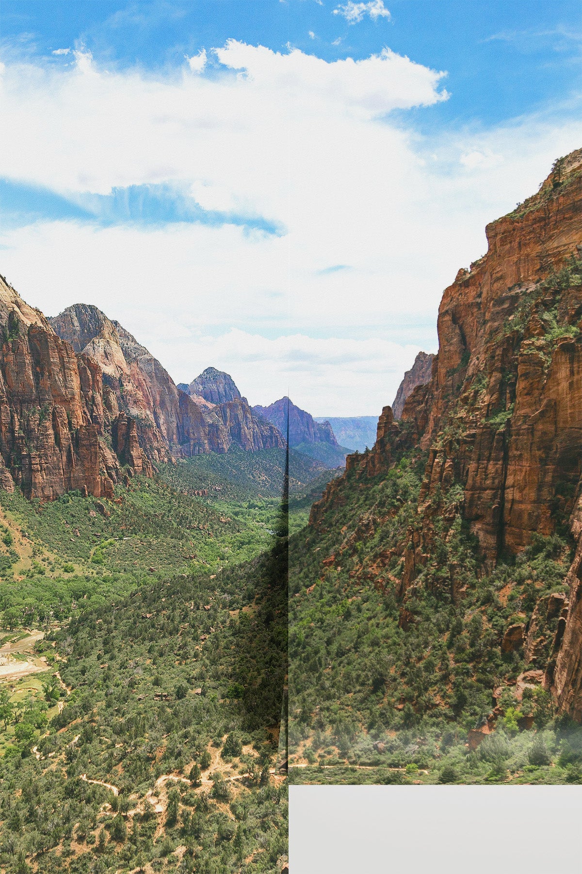 Zion National Park Wall Mural