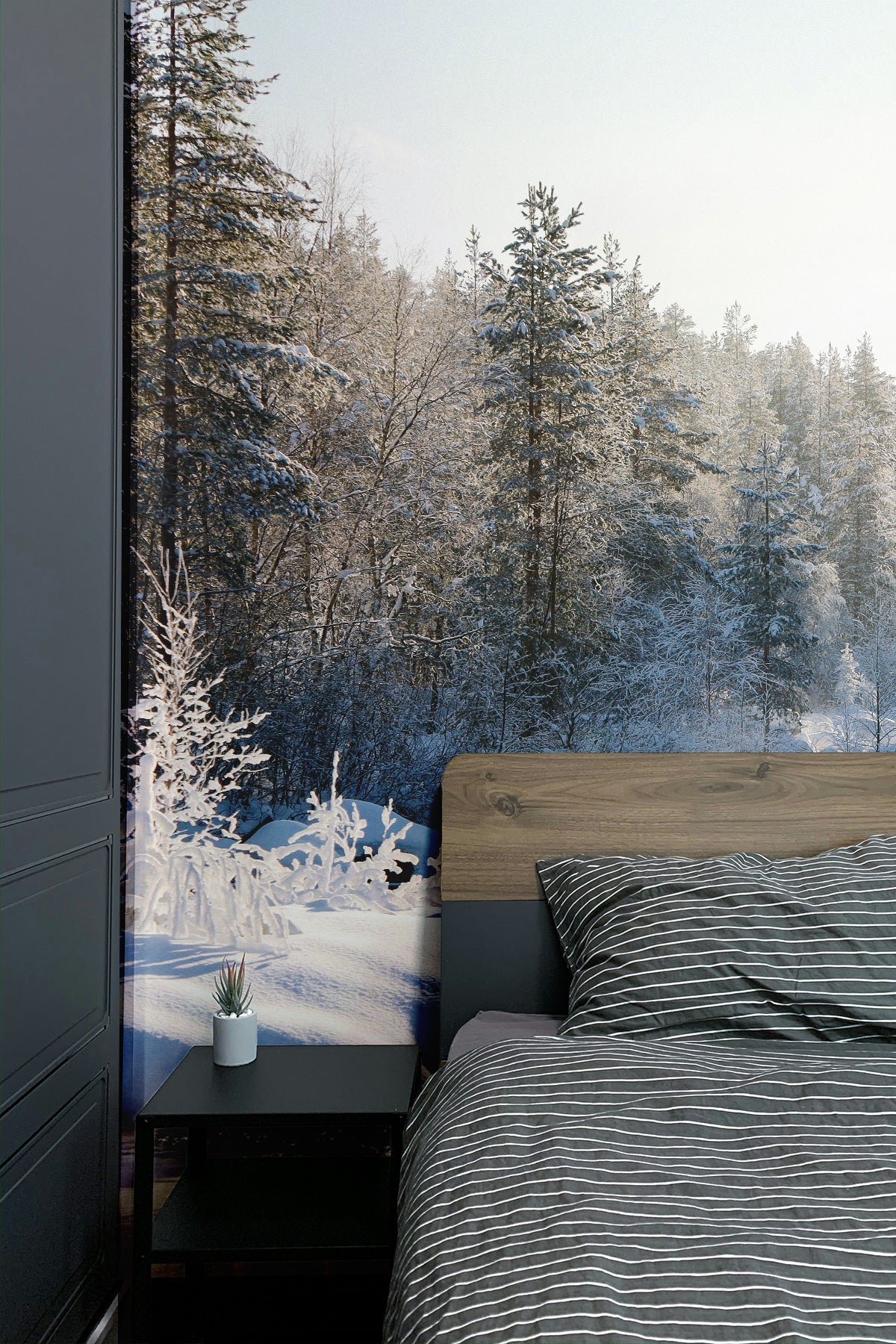 Enchanting Winter Landscape