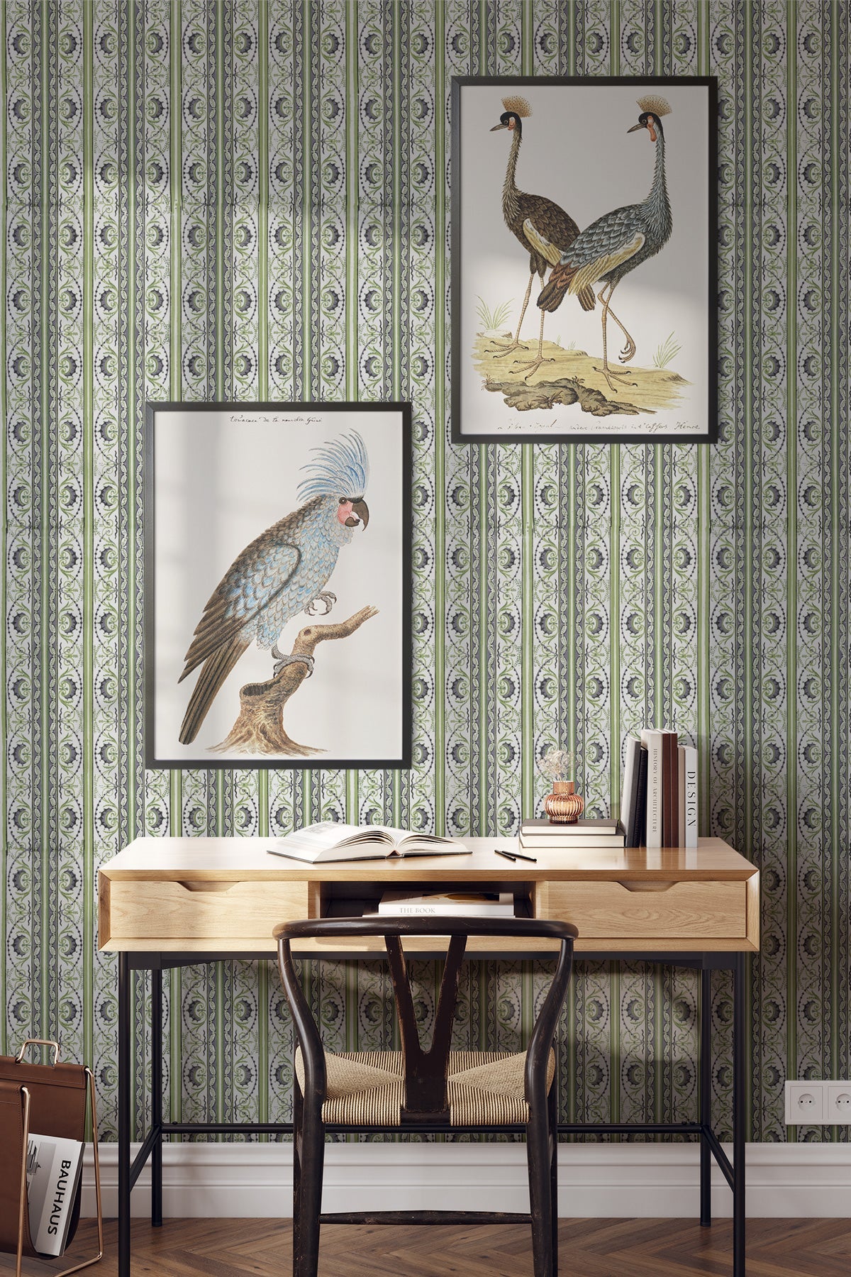 Aronnax / Lime