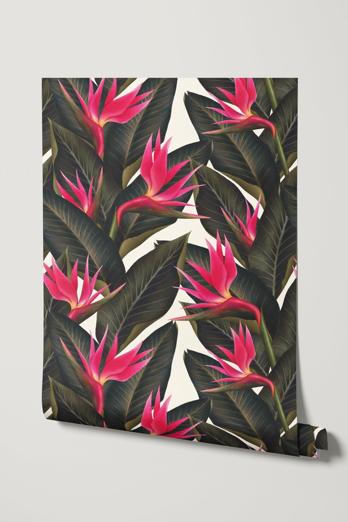 Birds of Paradise / Fuchsia