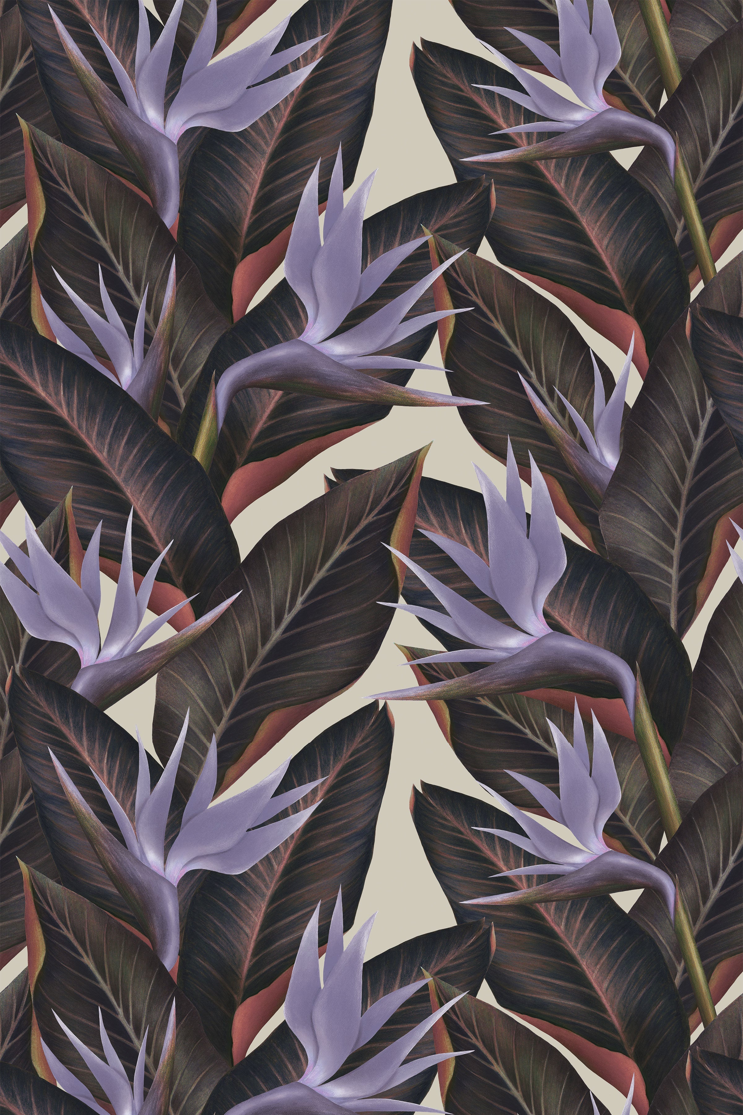 Birds of Paradise / Lavender