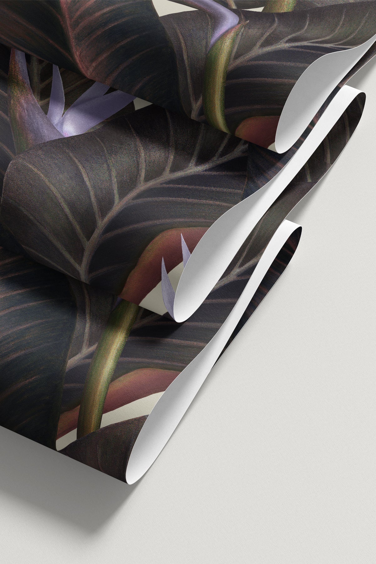 Birds of Paradise / Lavender