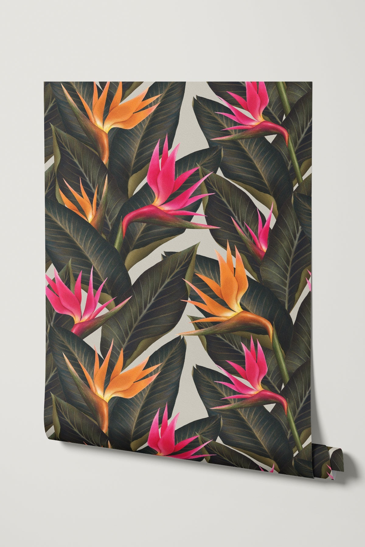 Birds of Paradise / Multicolor