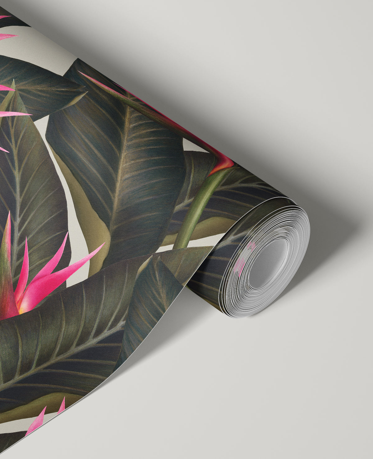 Birds of Paradise / Multicolor