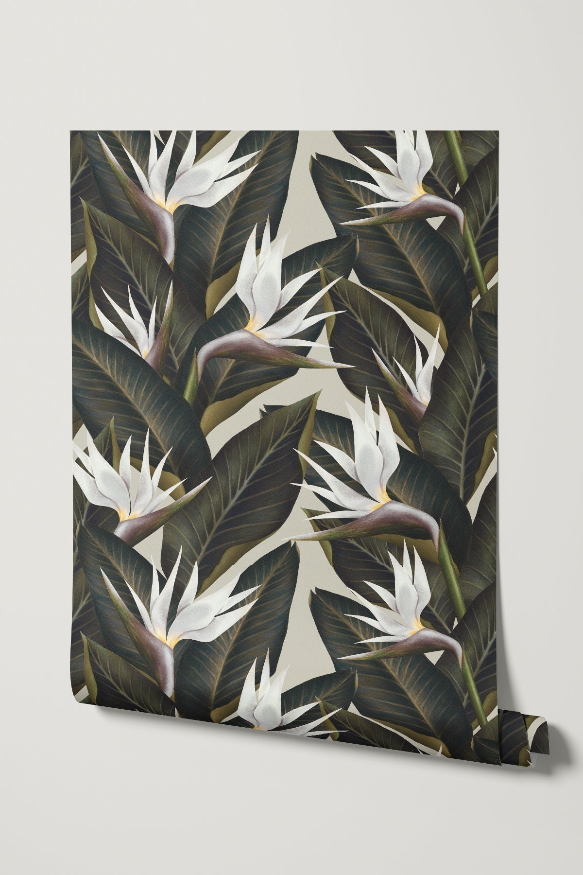 Birds of Paradise / White