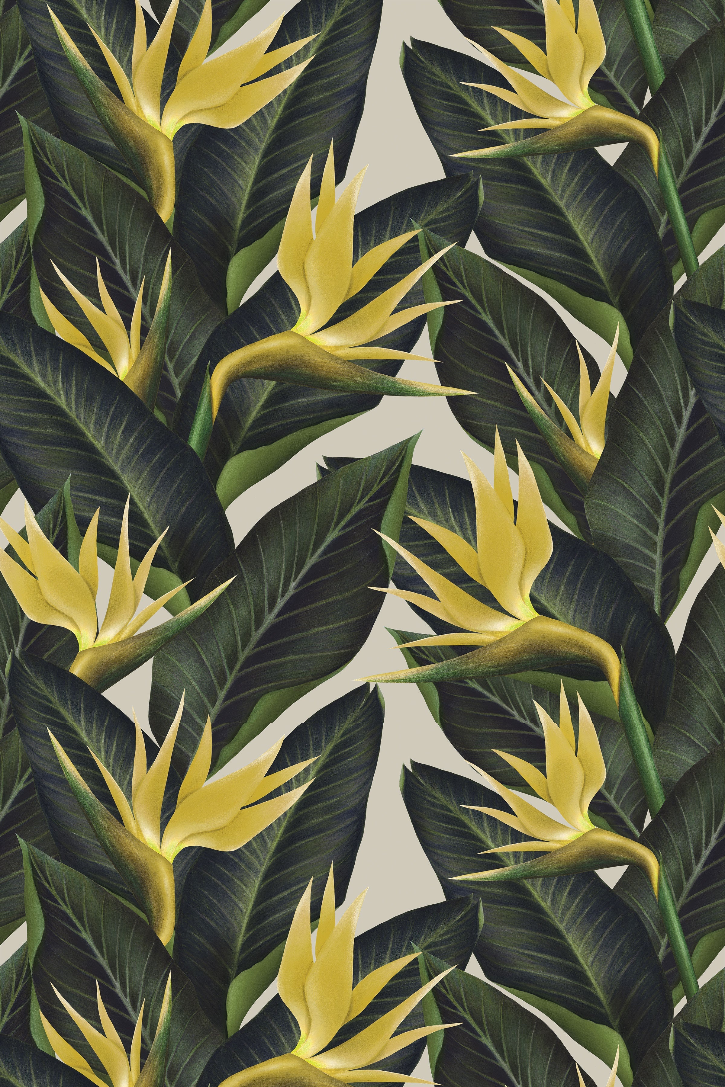 Birds of Paradise / Yellow