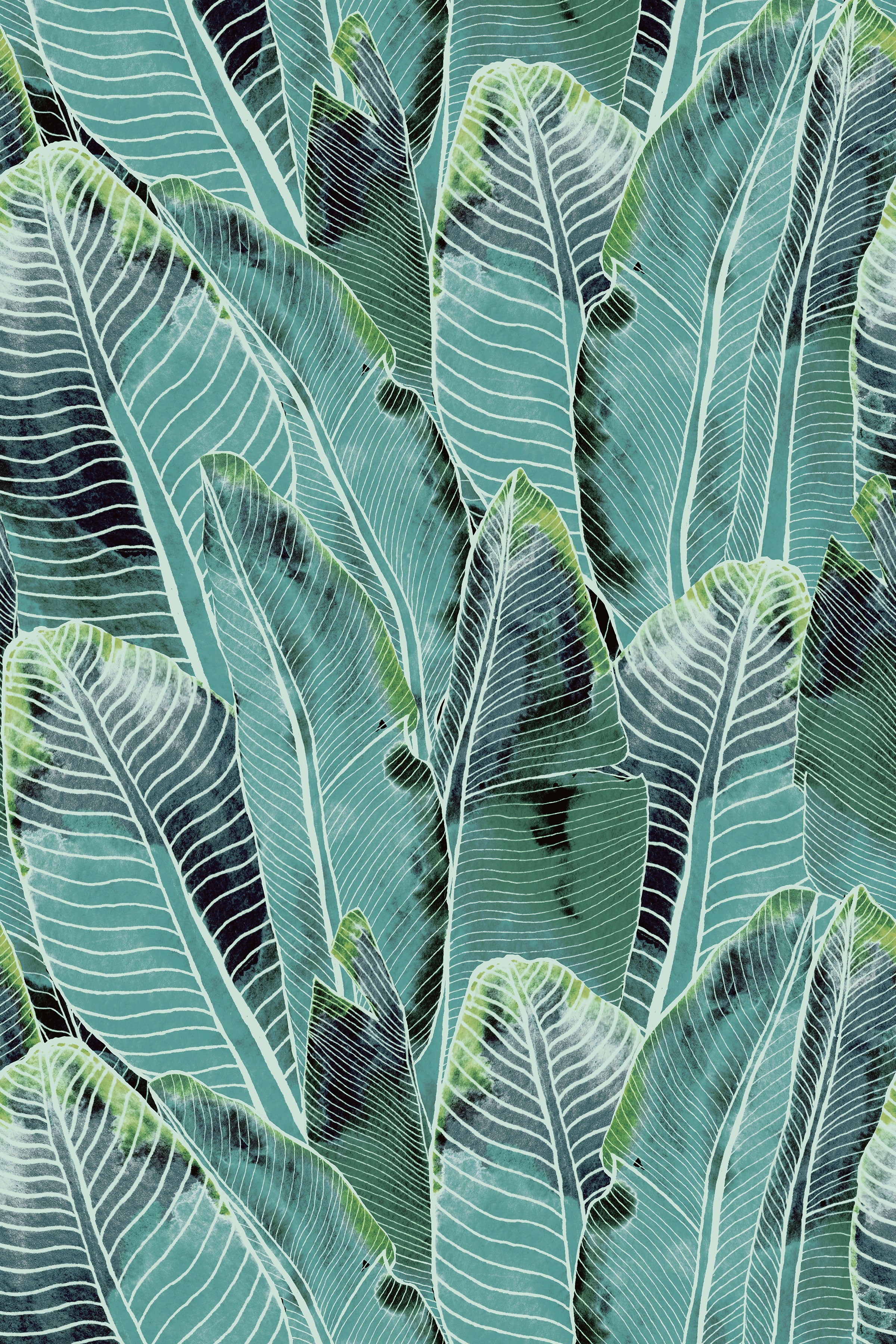 Borneo / Teal