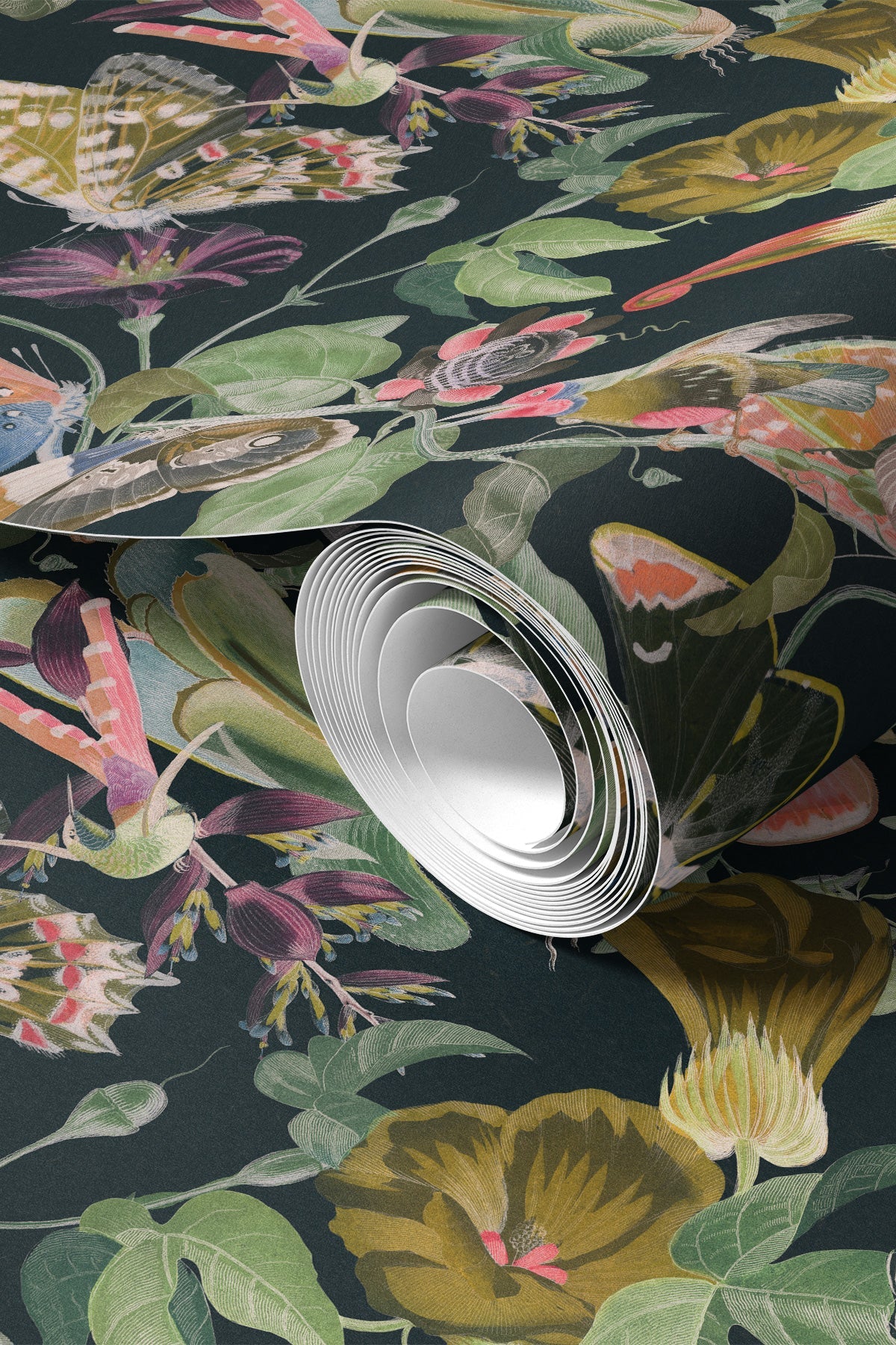 Butterfly Kingdom / Dark