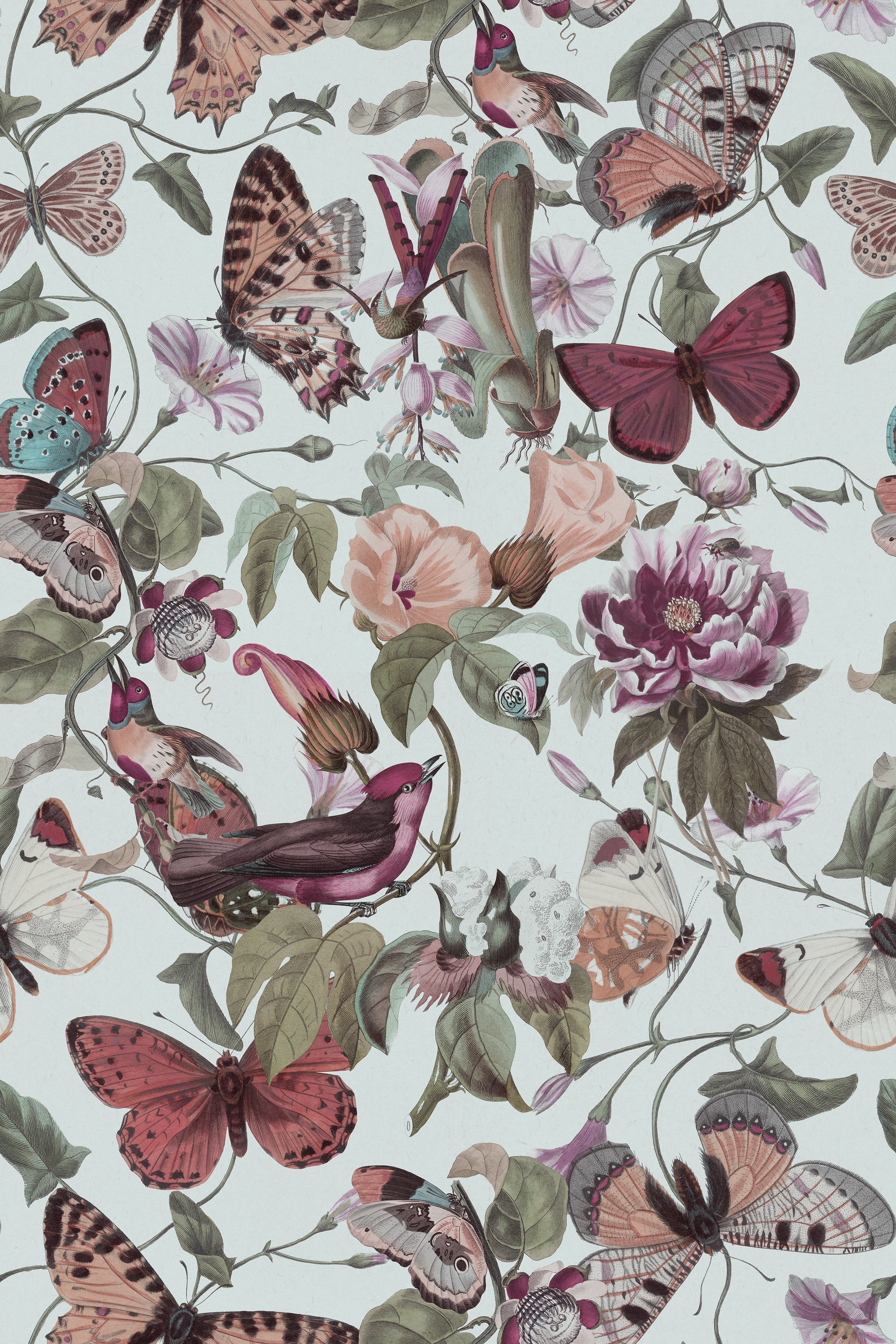 Butterfly Kingdom / Light Blue