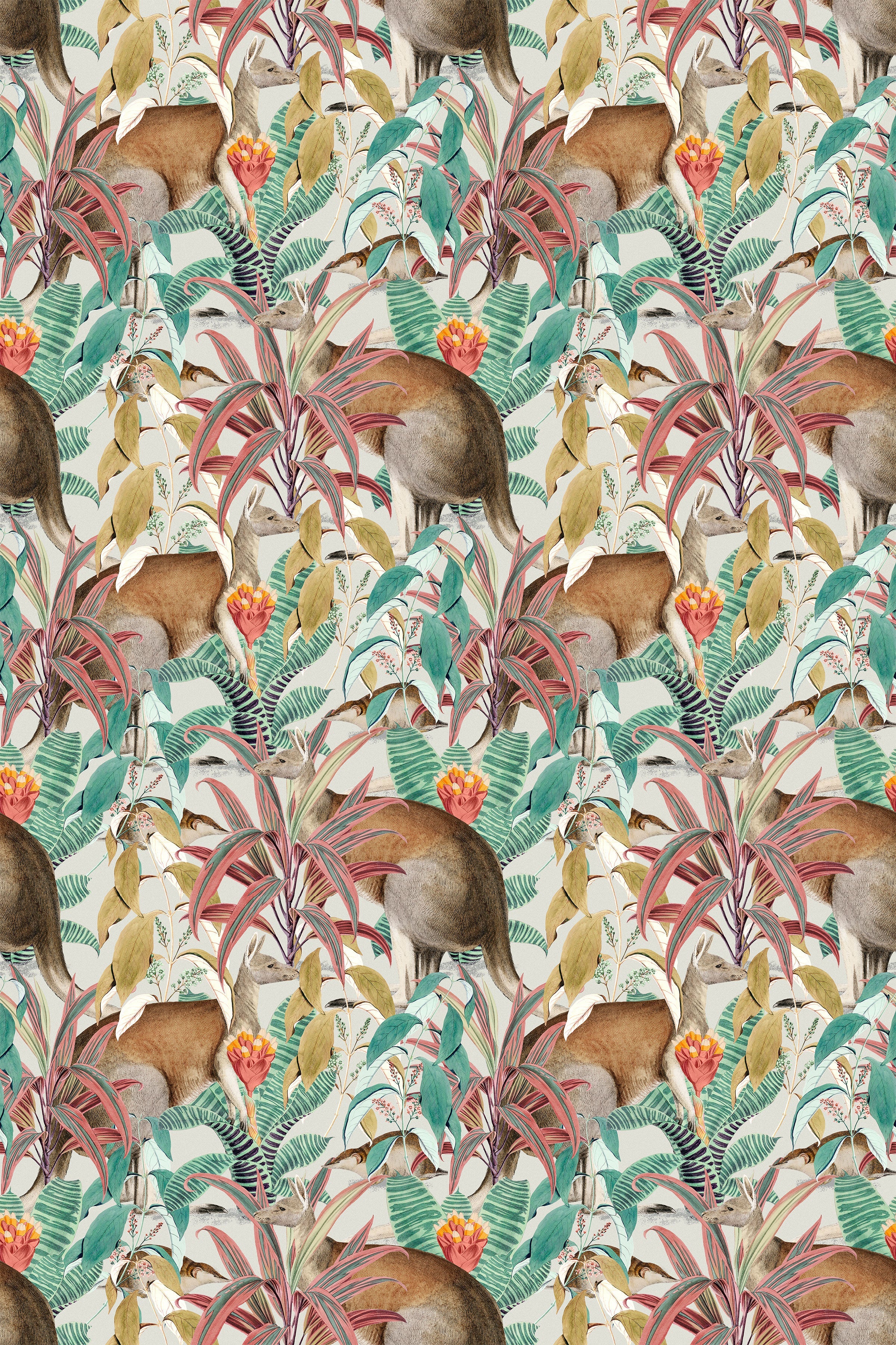 Canberra / Multicolor