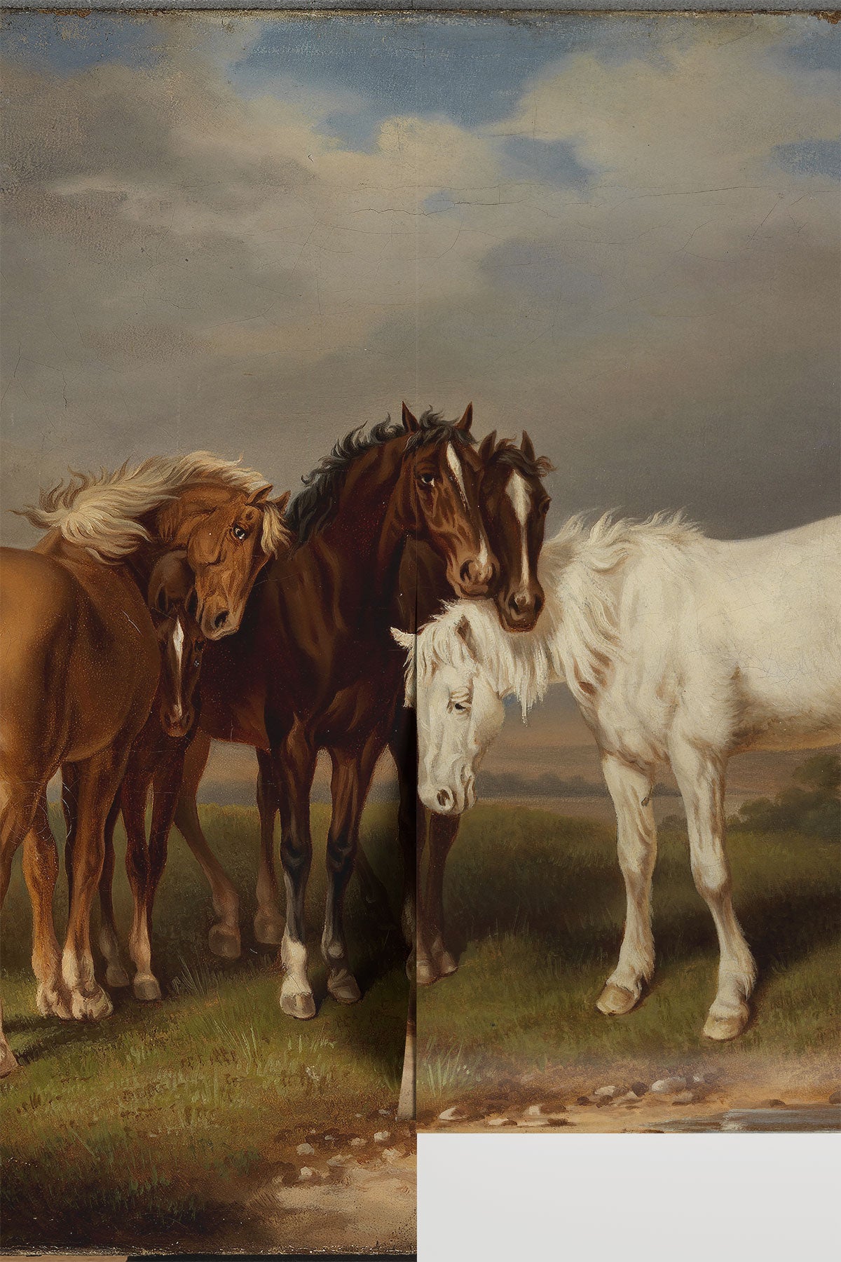 Von Wright Horses