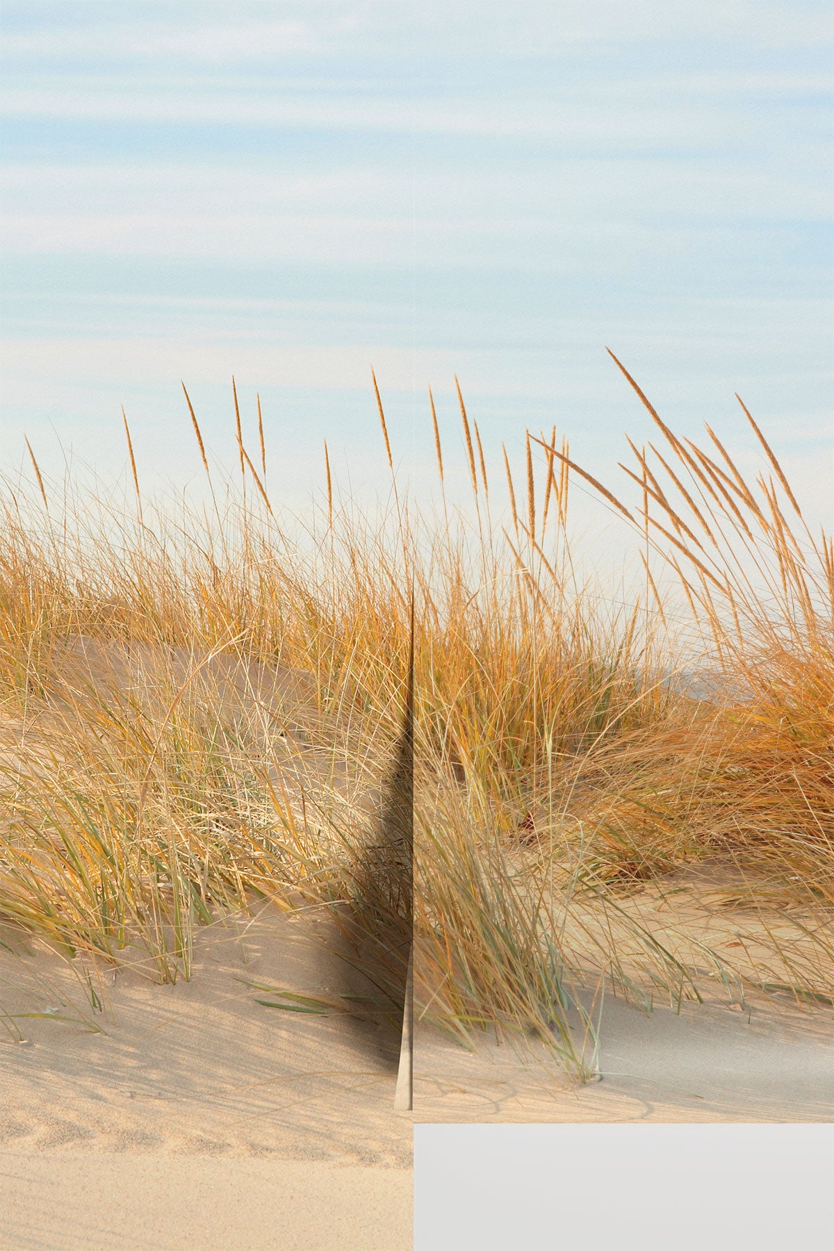 Beach Scene in Michigan Wall Mural