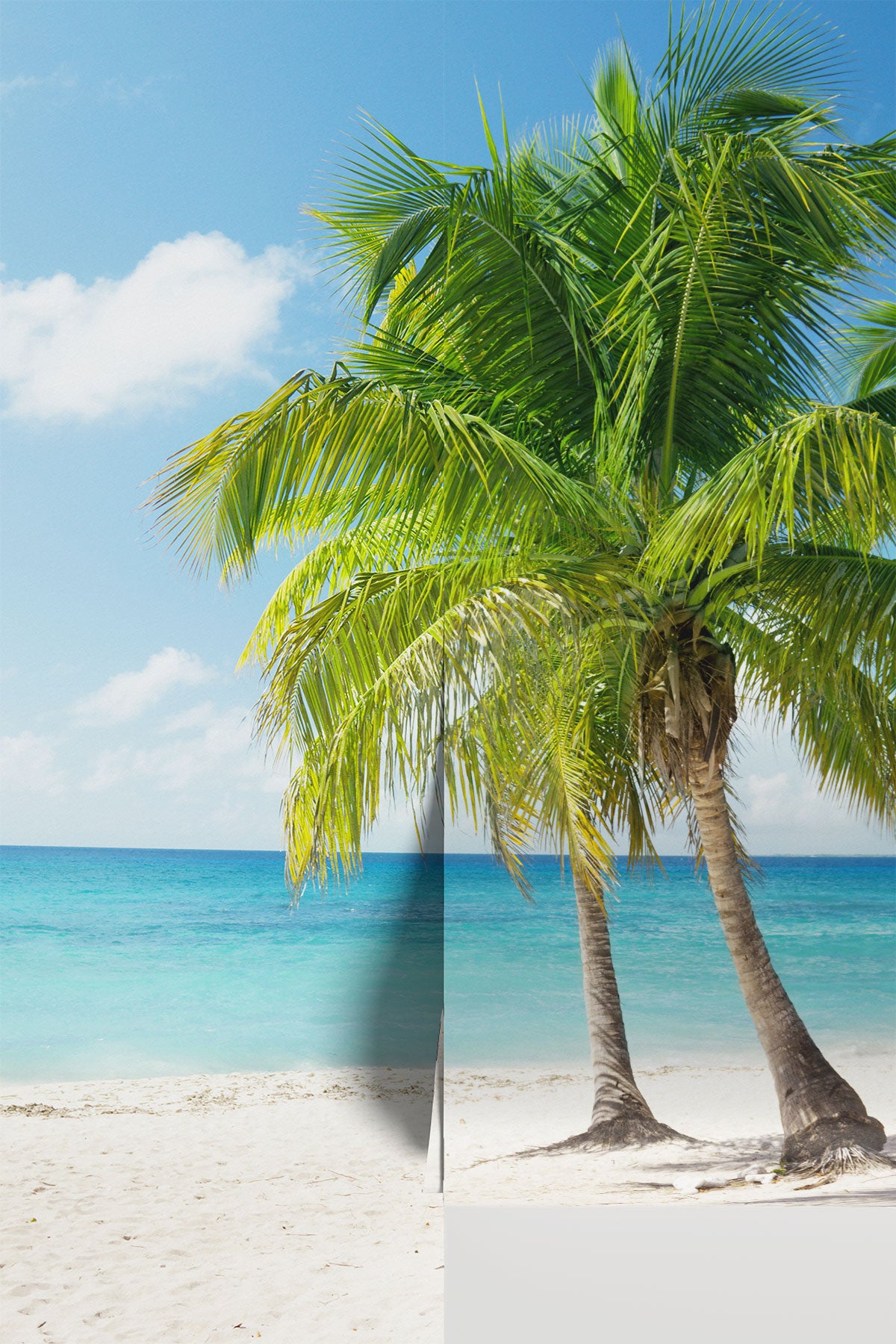 Beach in the Caribbean Wall Mural