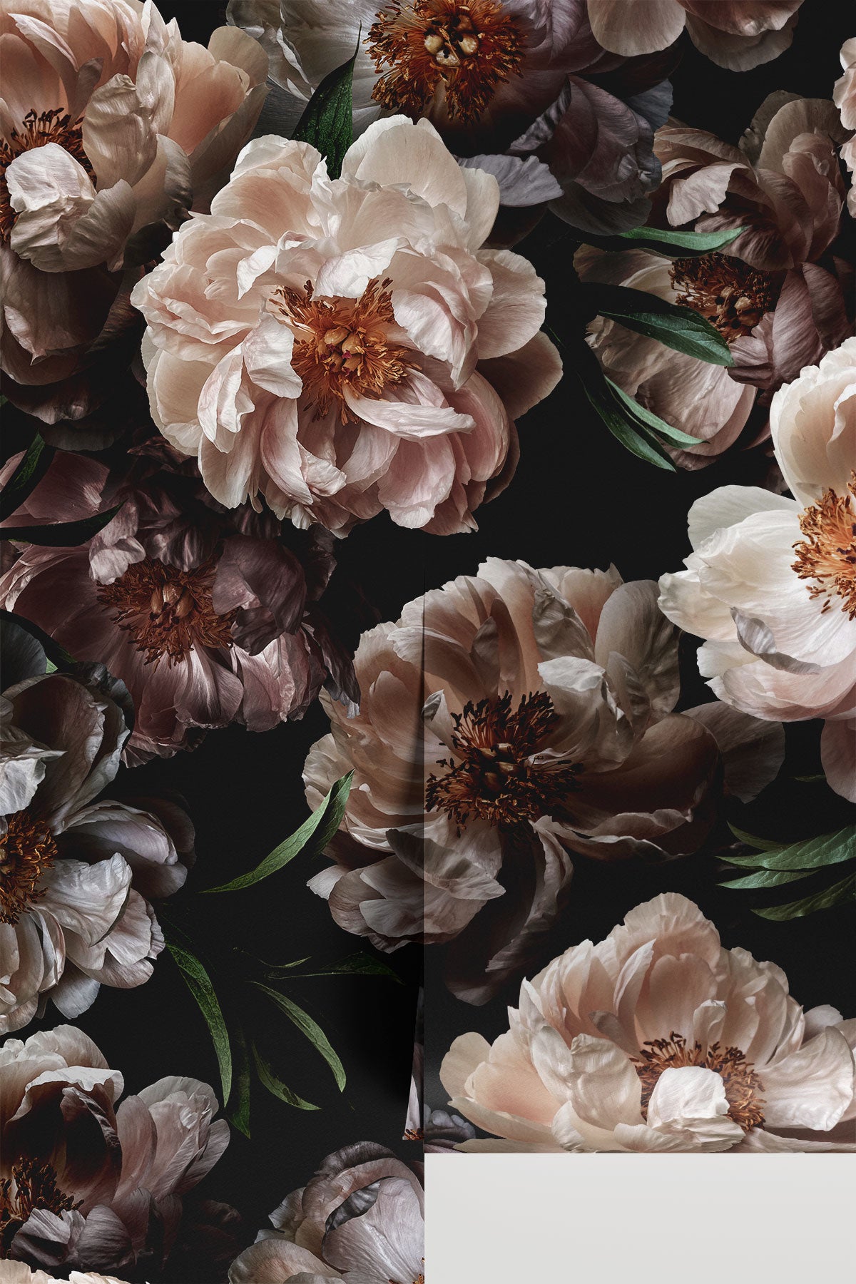 Midnight Floral / Vol 2