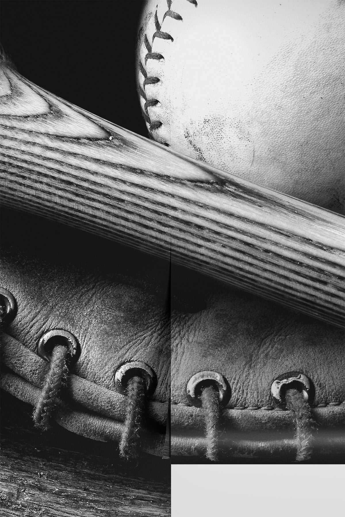 Vintage Baseball Essentials Wall Mural