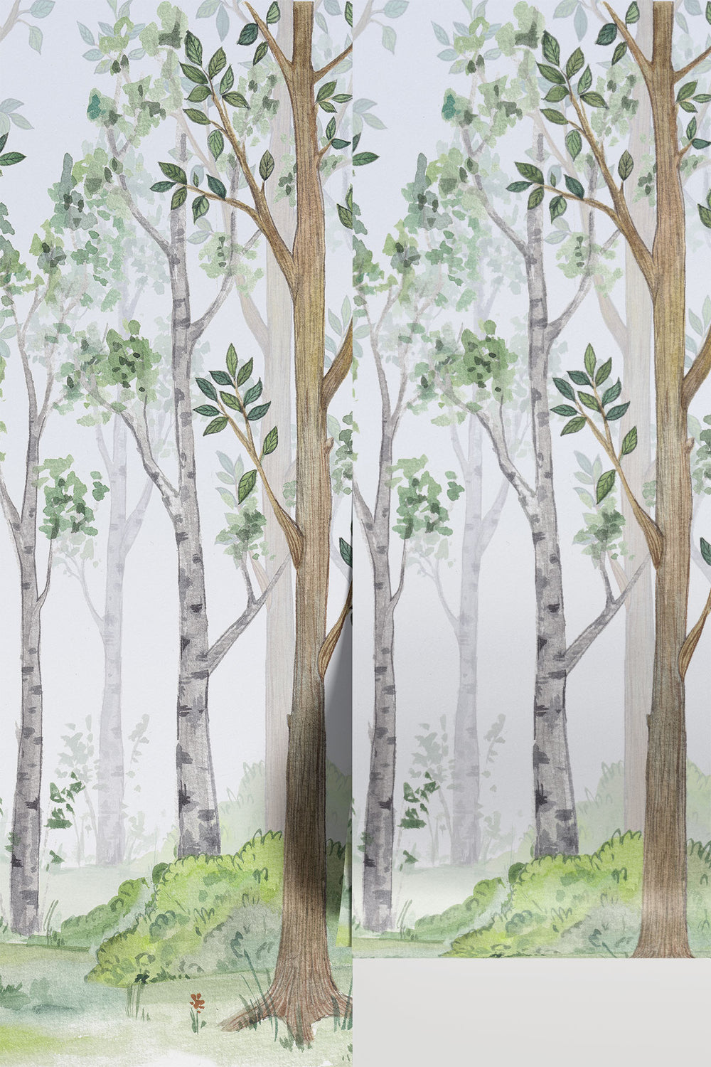Birch Forest Watercolor Wall Mural | Forest Murals | Eazywallz