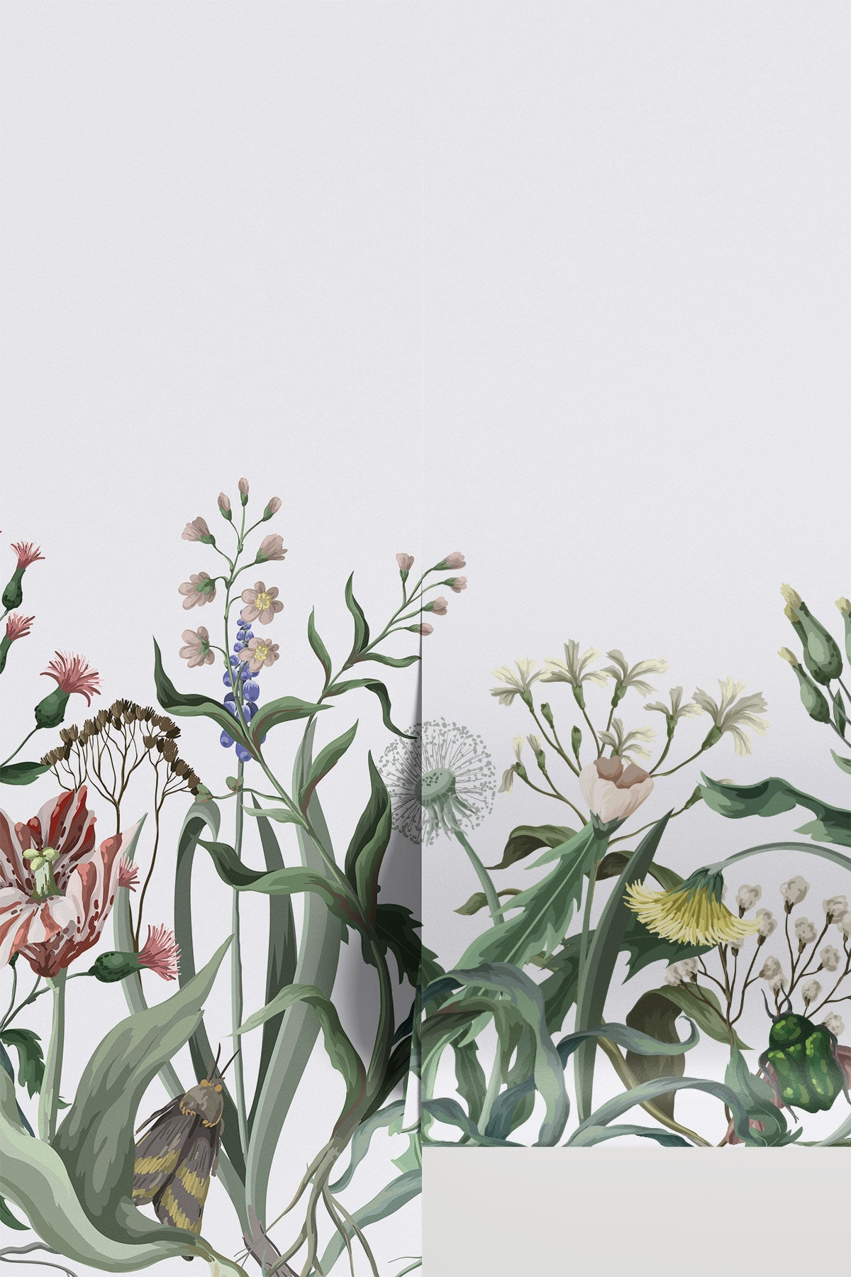 Wild Flowers Botanical