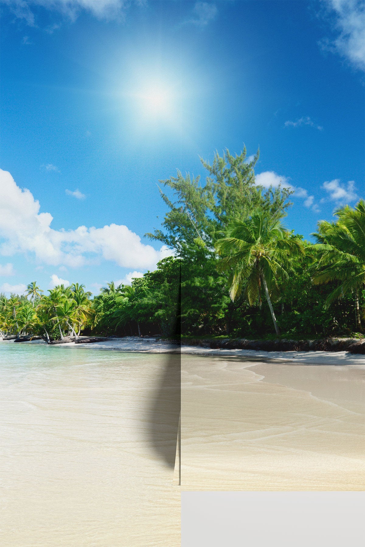 Sea and coconut palms Wall Mural