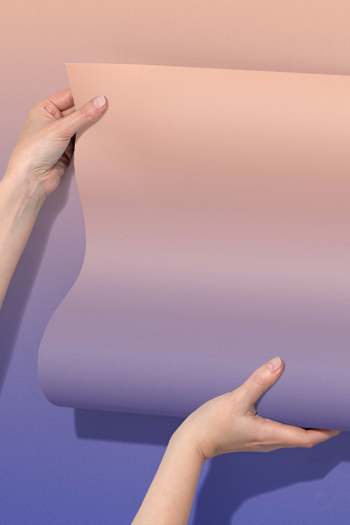 Closeup of Dusk Horizon Wallpaper