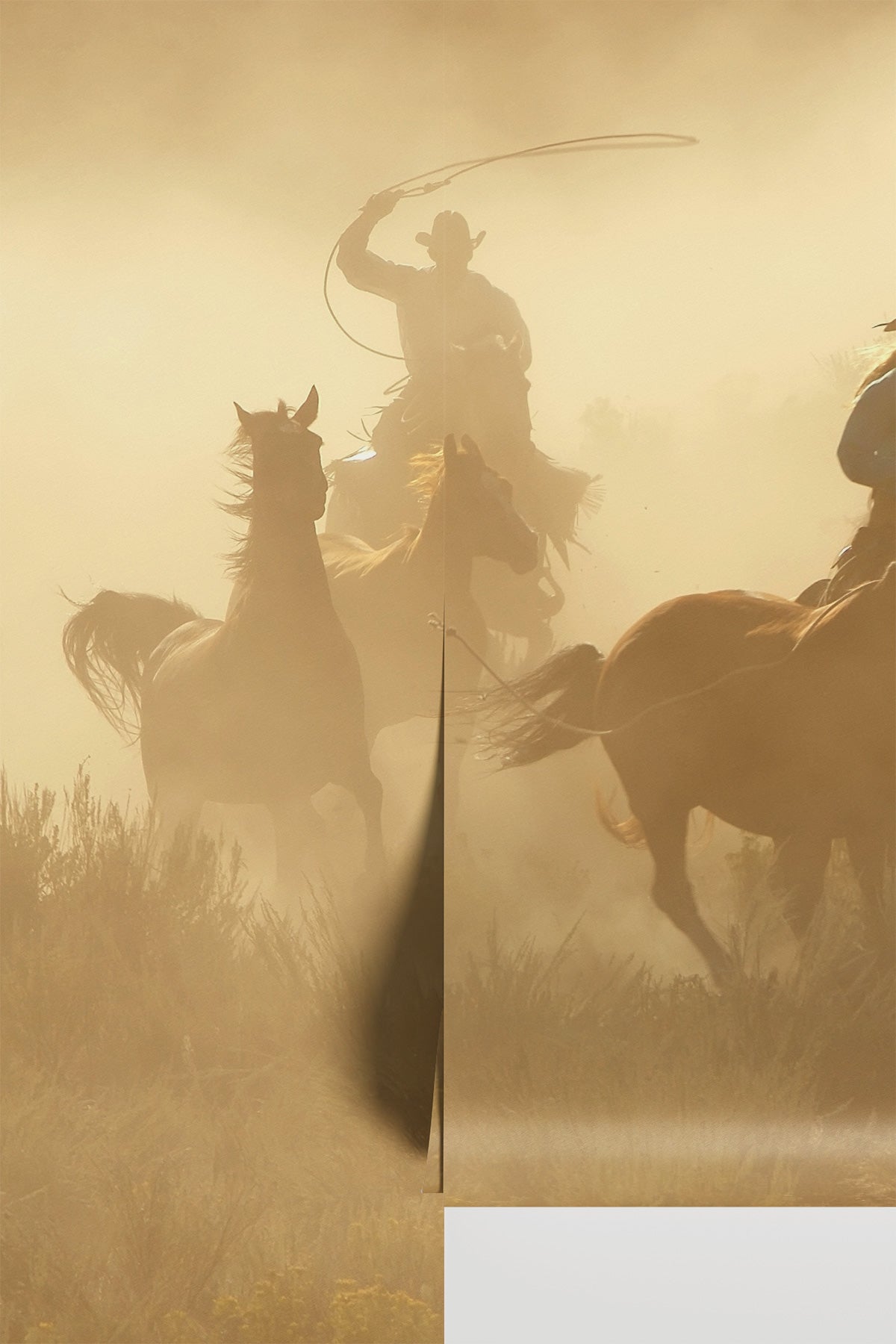 Dust & Dominion