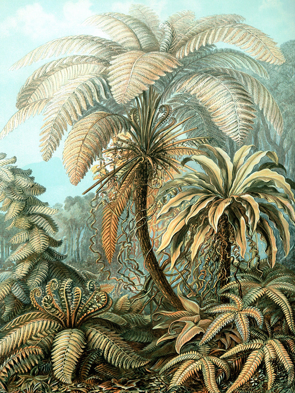 Vintage Jungle Illustration Wall Mural