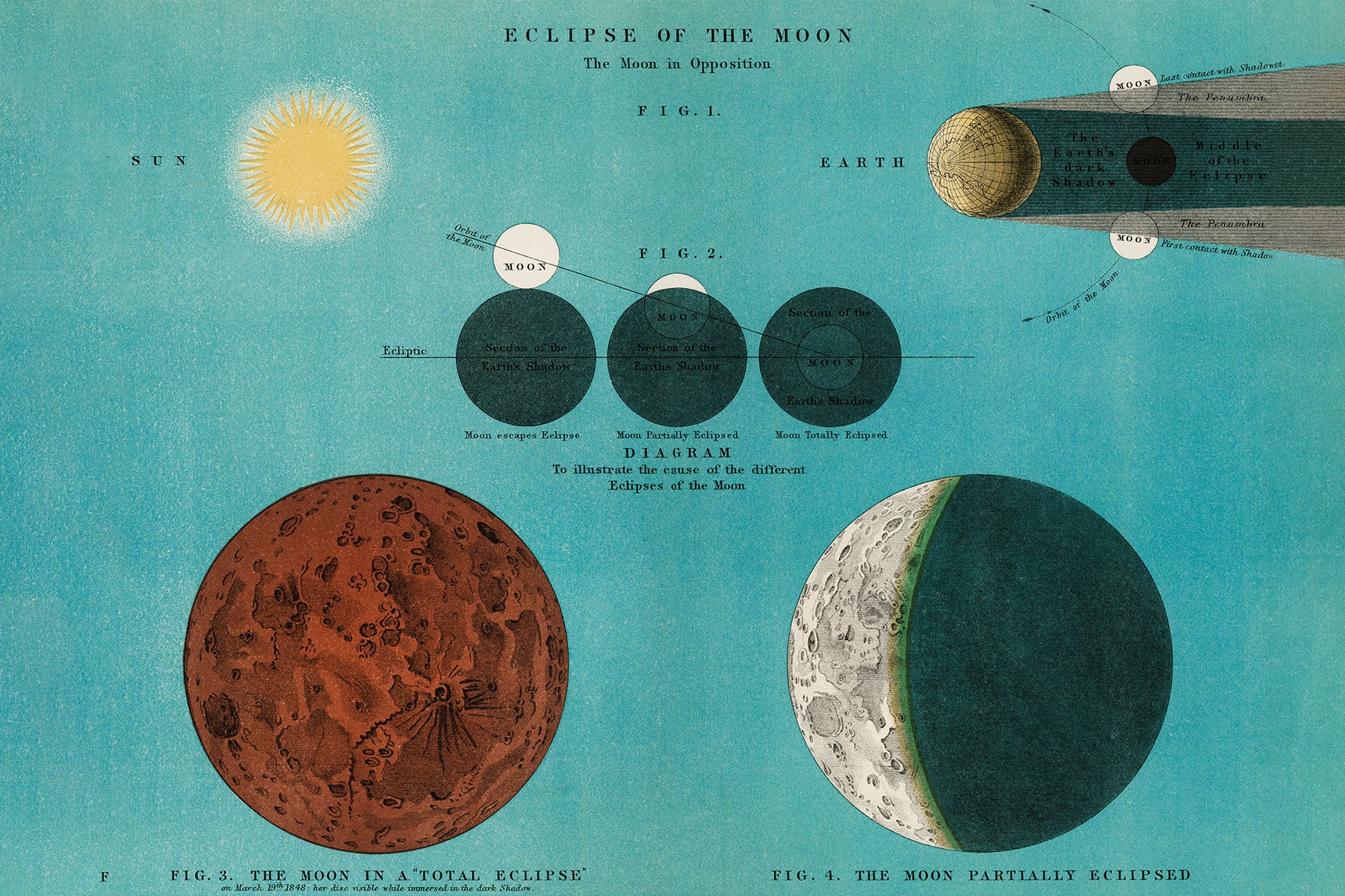 Eclipse of the Moon Wall Mural