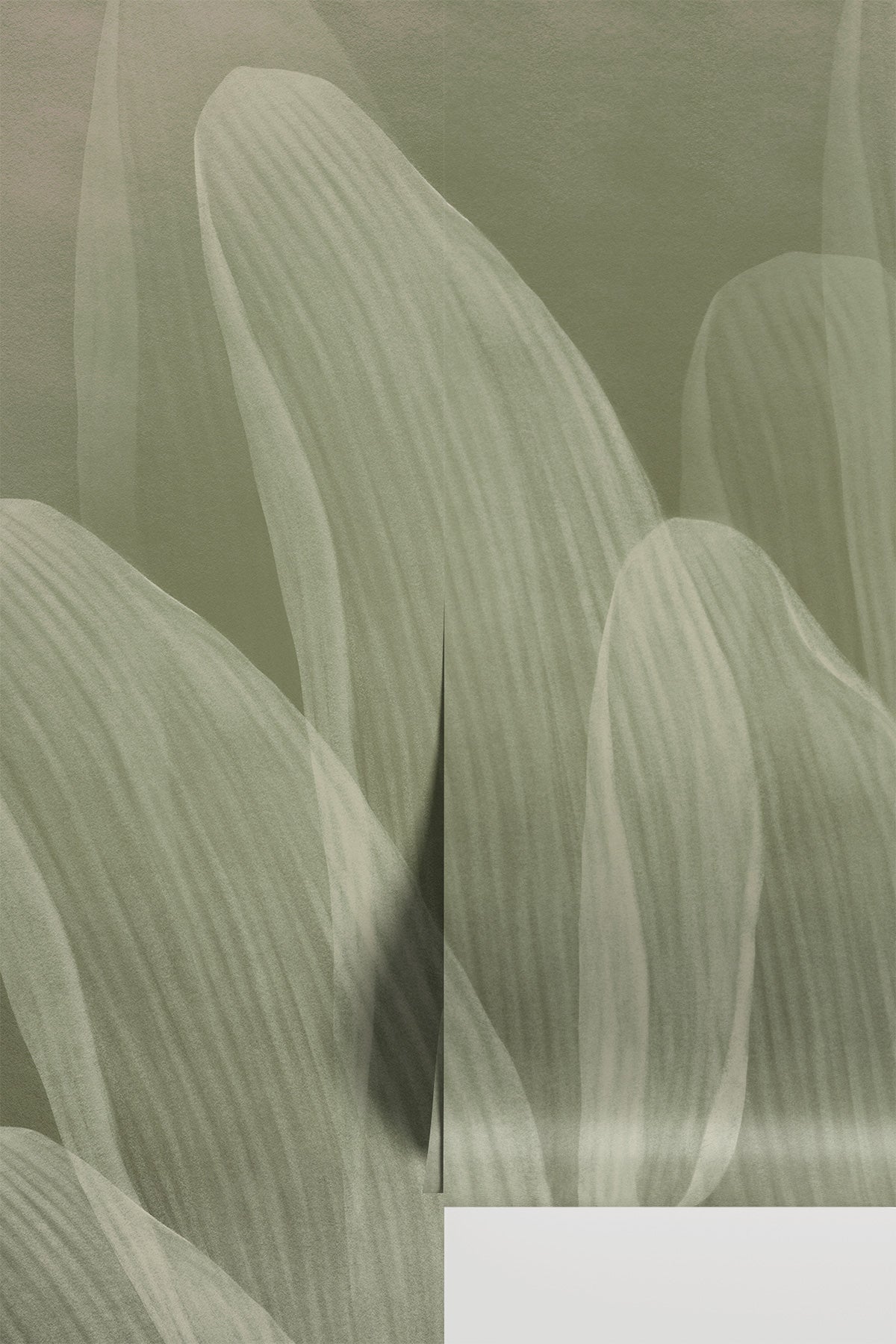 Elowen / Sage wall mural