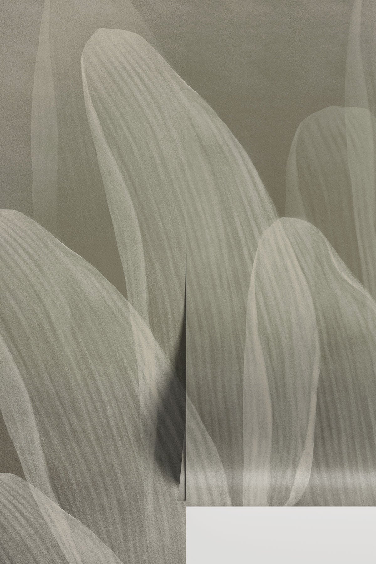 Elowen / Taupe, an abstract botanical pattern of wavy lines