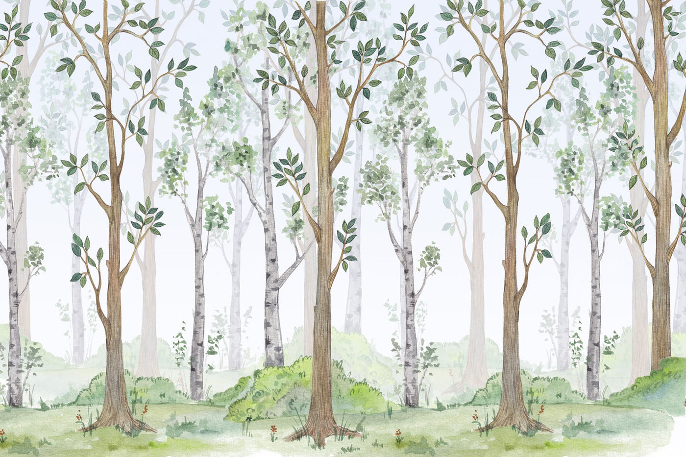 Birch Forest Watercolor Wall Mural