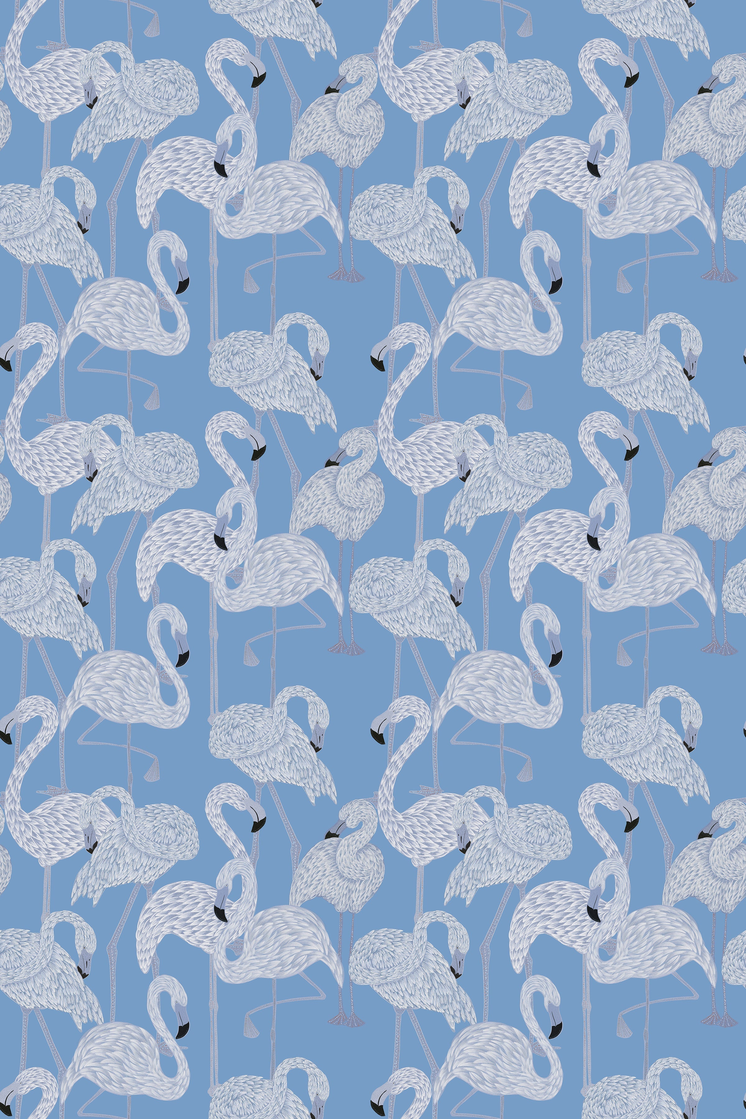 Flamingos / Blue