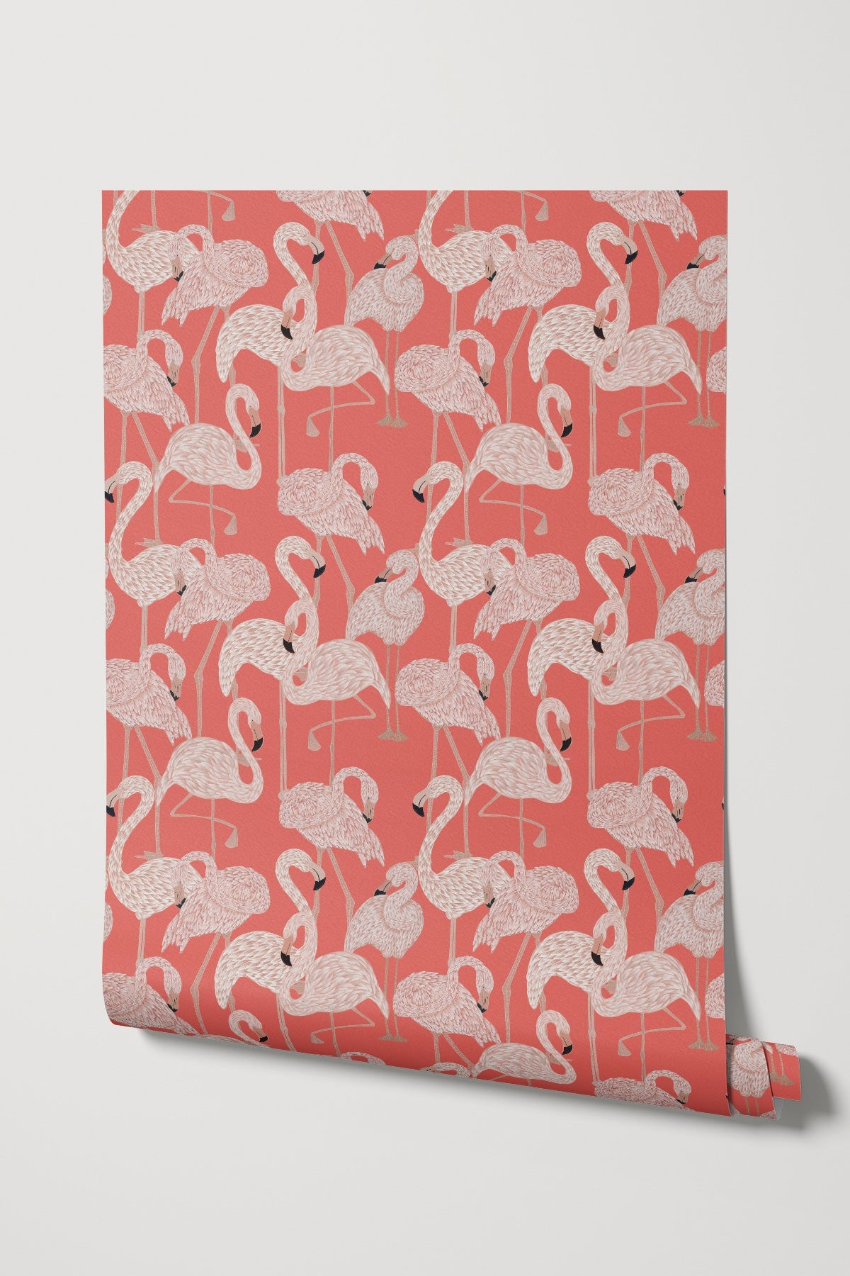 Flamingos / Coral
