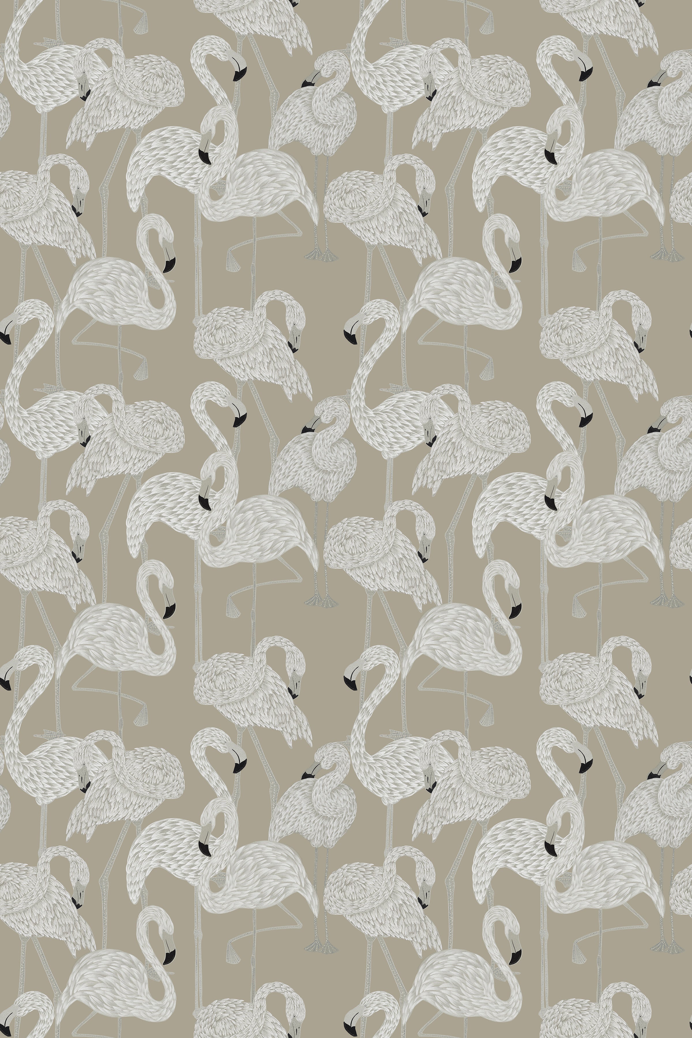 Flamingos / Sepia
