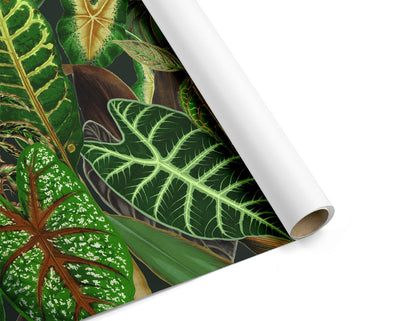 Green Tropics Wallpaper #628