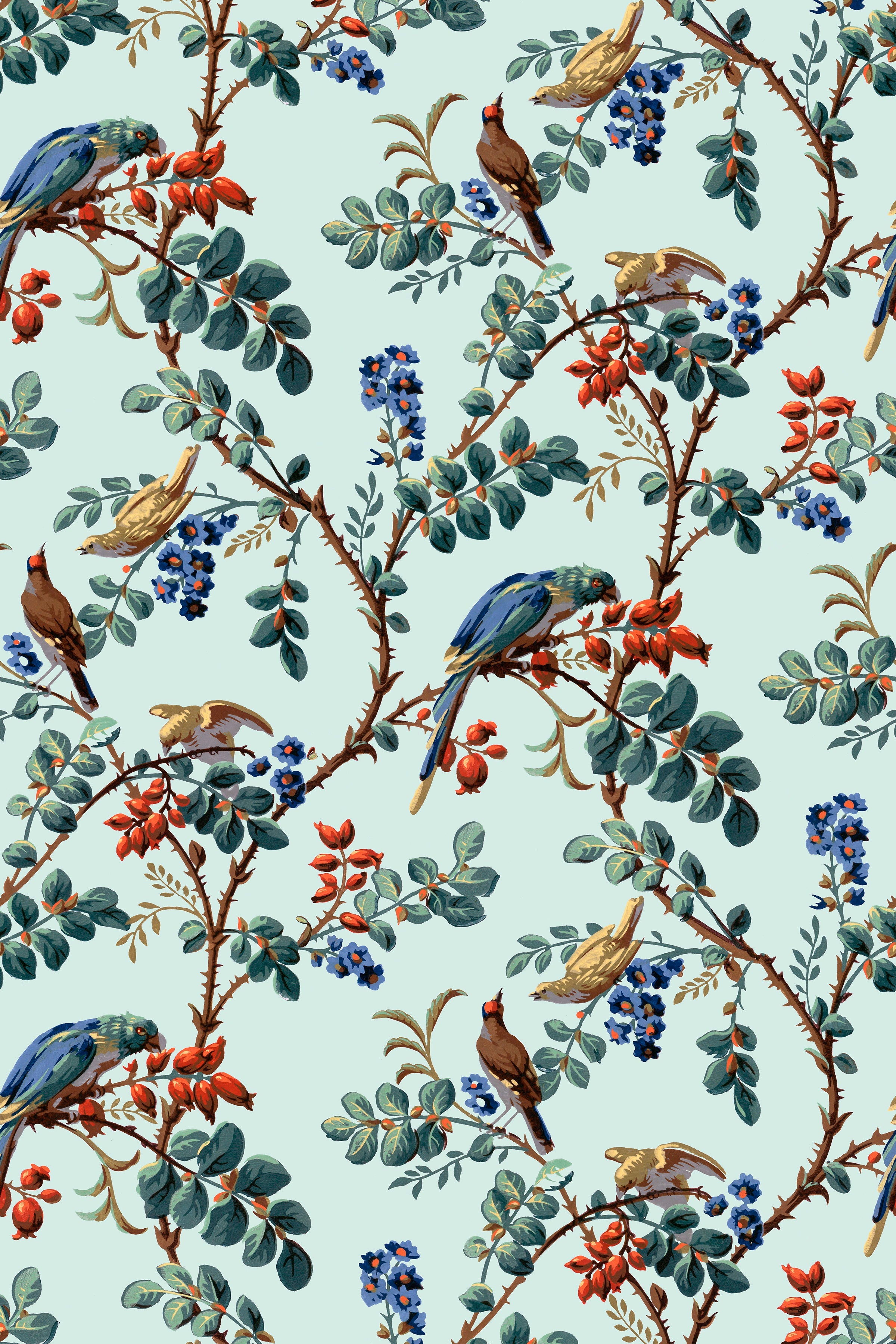 Grenadine / Sky Blue