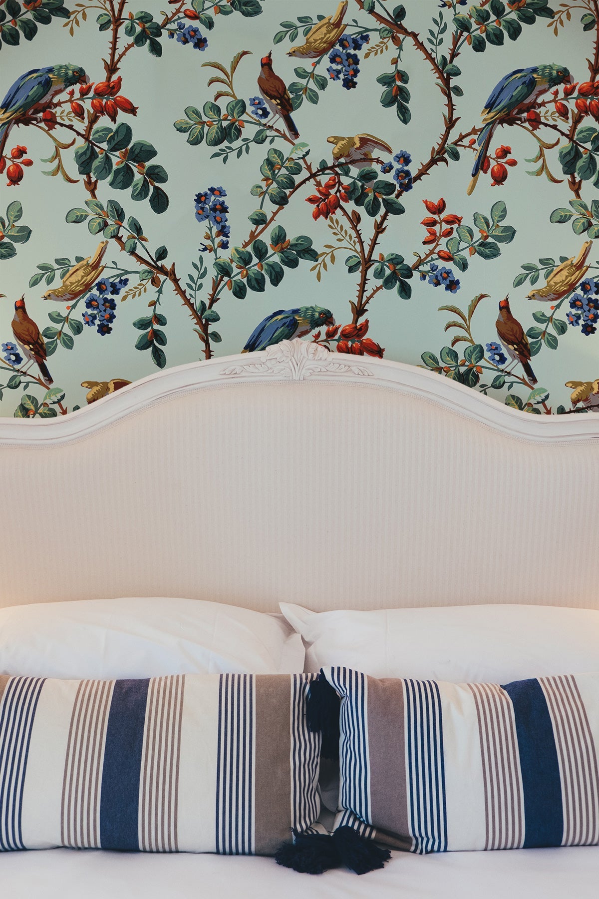 Grenadine / Sky Blue