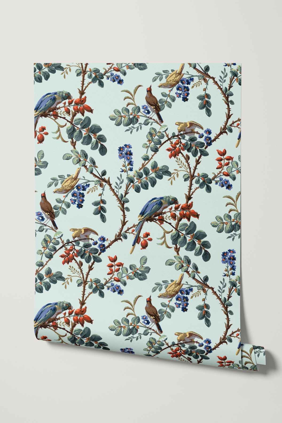 Grenadine / Sky Blue