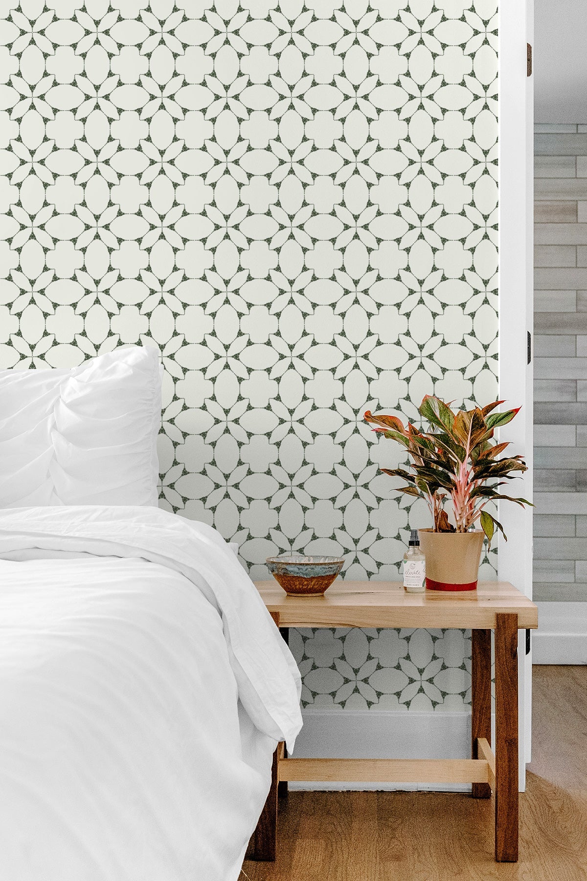 Gustave Light / Olive