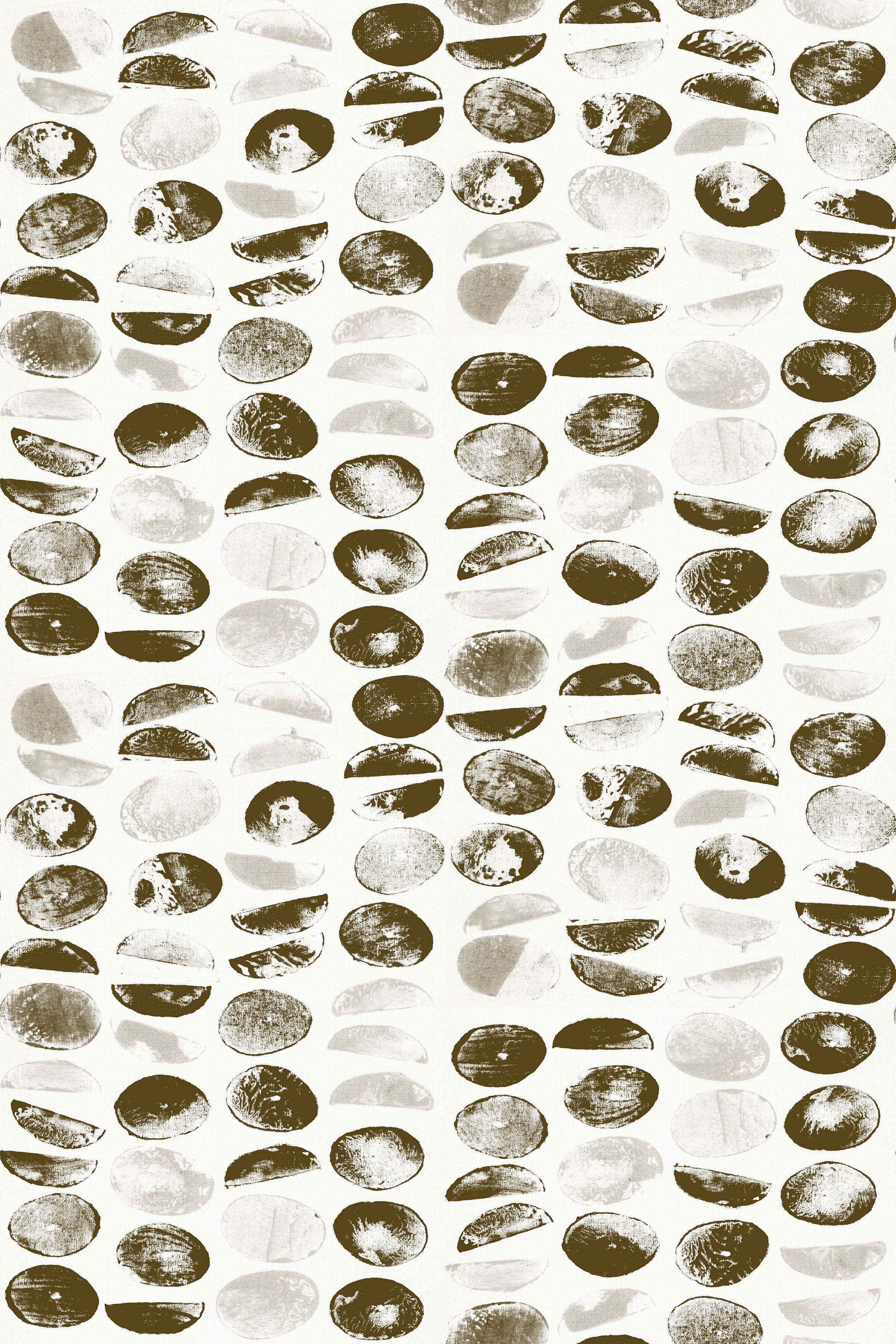 Koichi Light / Mustard