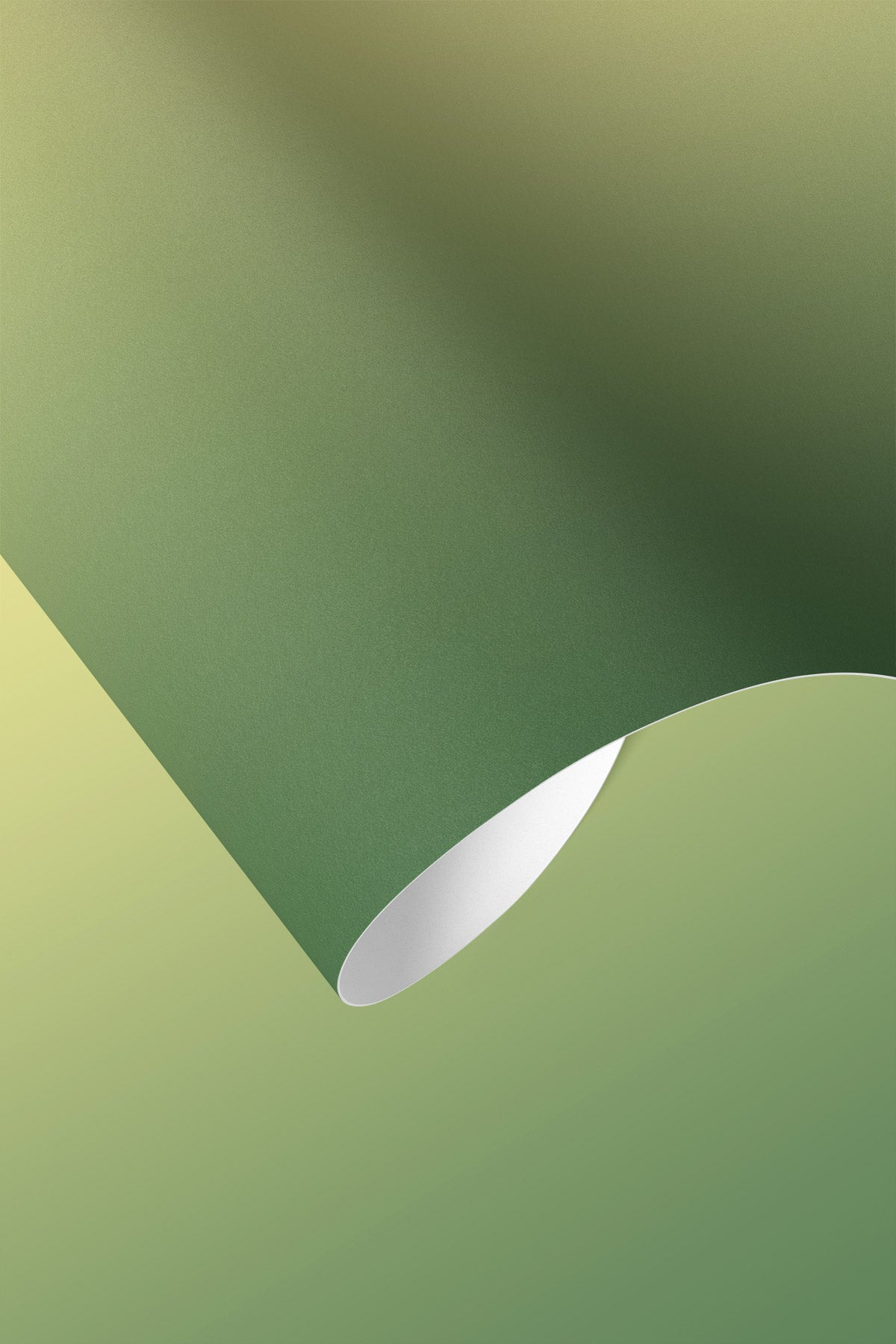 Closeup of Lemony Lime Wallpaper